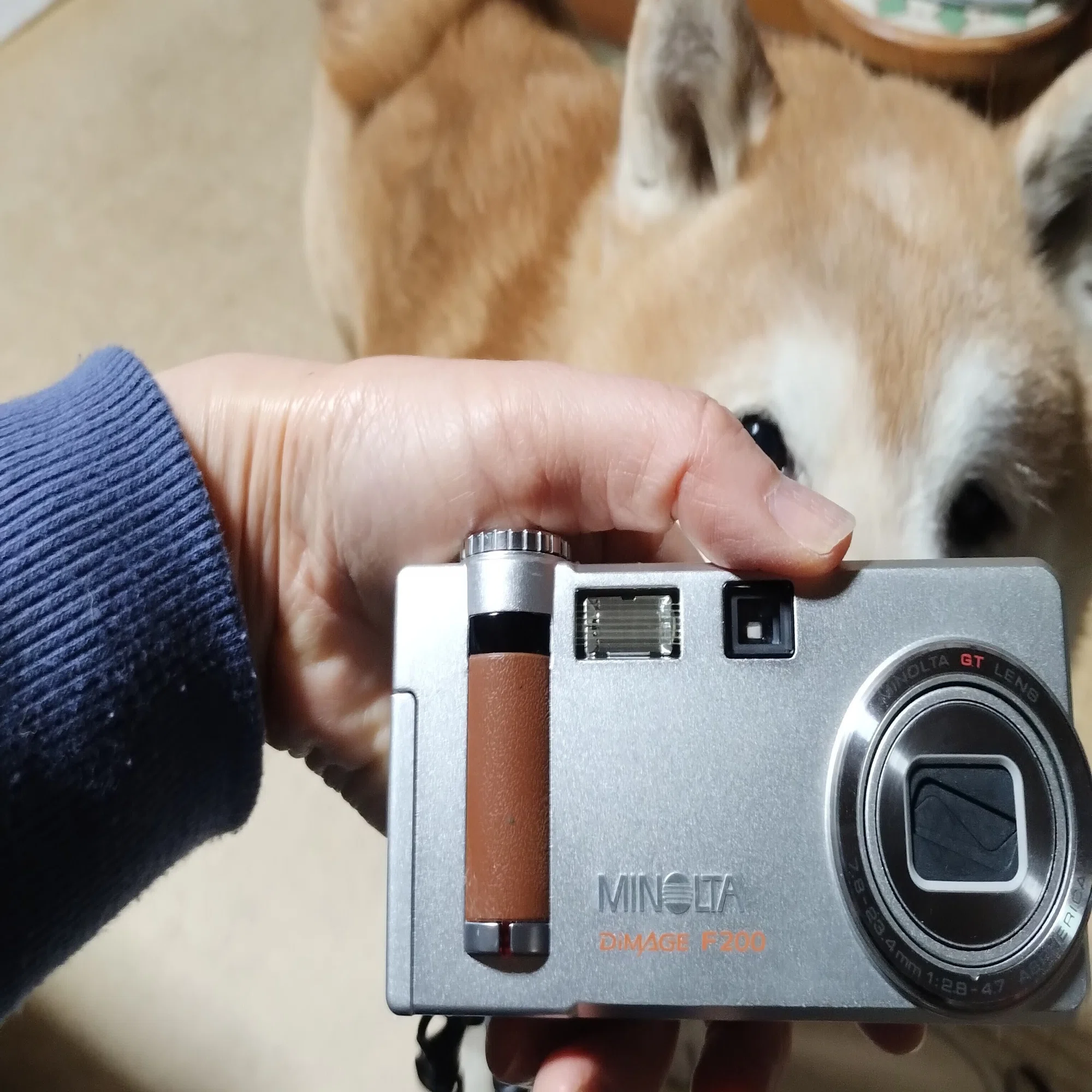 古いデジタルカメラを買いました｜林白果