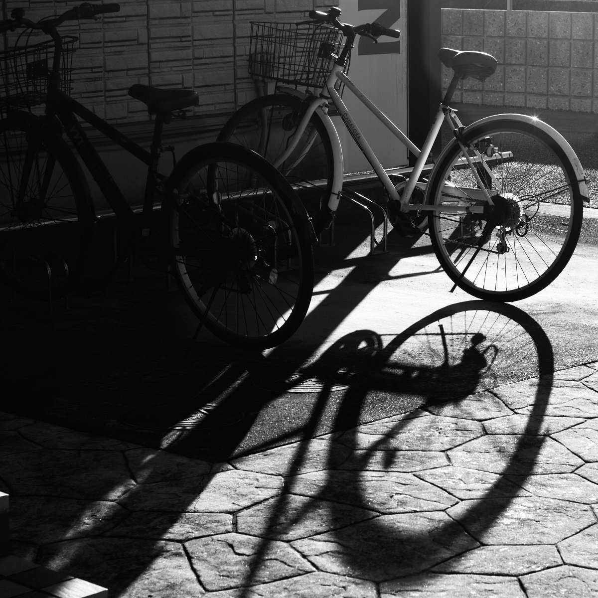 雑談】PENTAX 黒死病は写真上達の近道かも？｜MameMaki