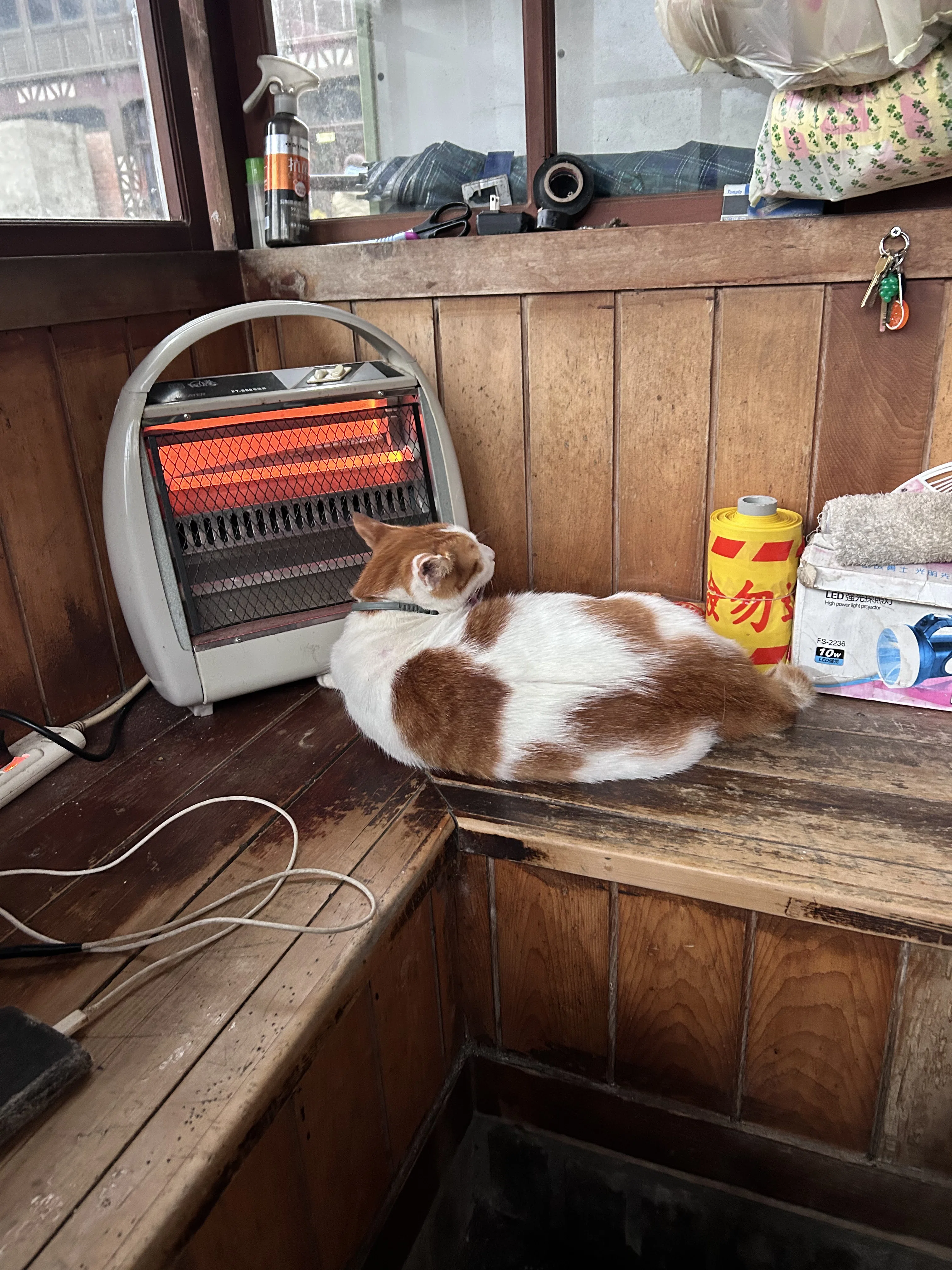 年末・子ども連れ台湾旅2日目ー十分＆猫村＆九份ツアーの感想まとめ
