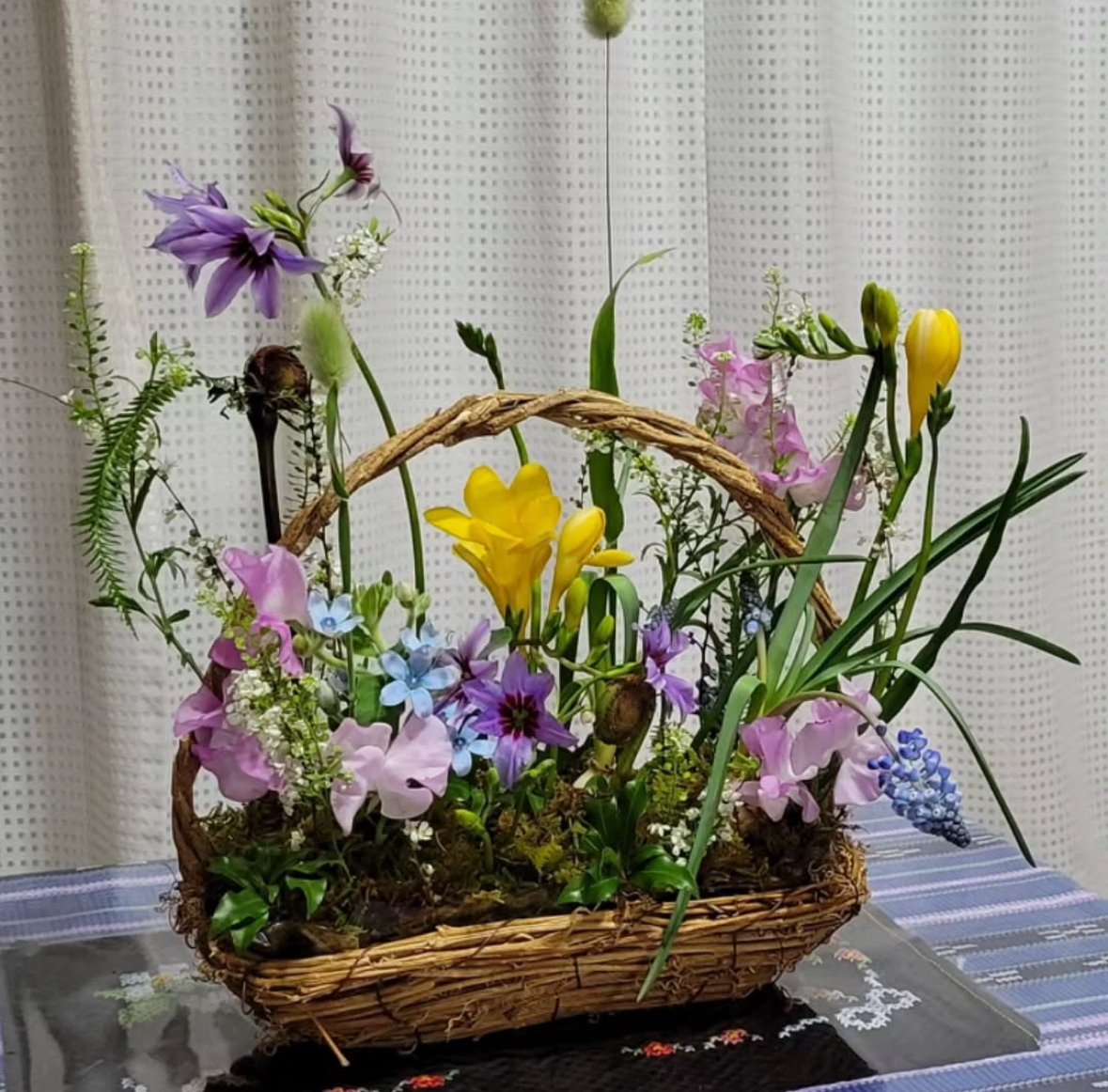 ぺんぺん草 Amazon | ペンタス 苗 1ポット 花色お任せ 3.5号 夏の花 花壇苗