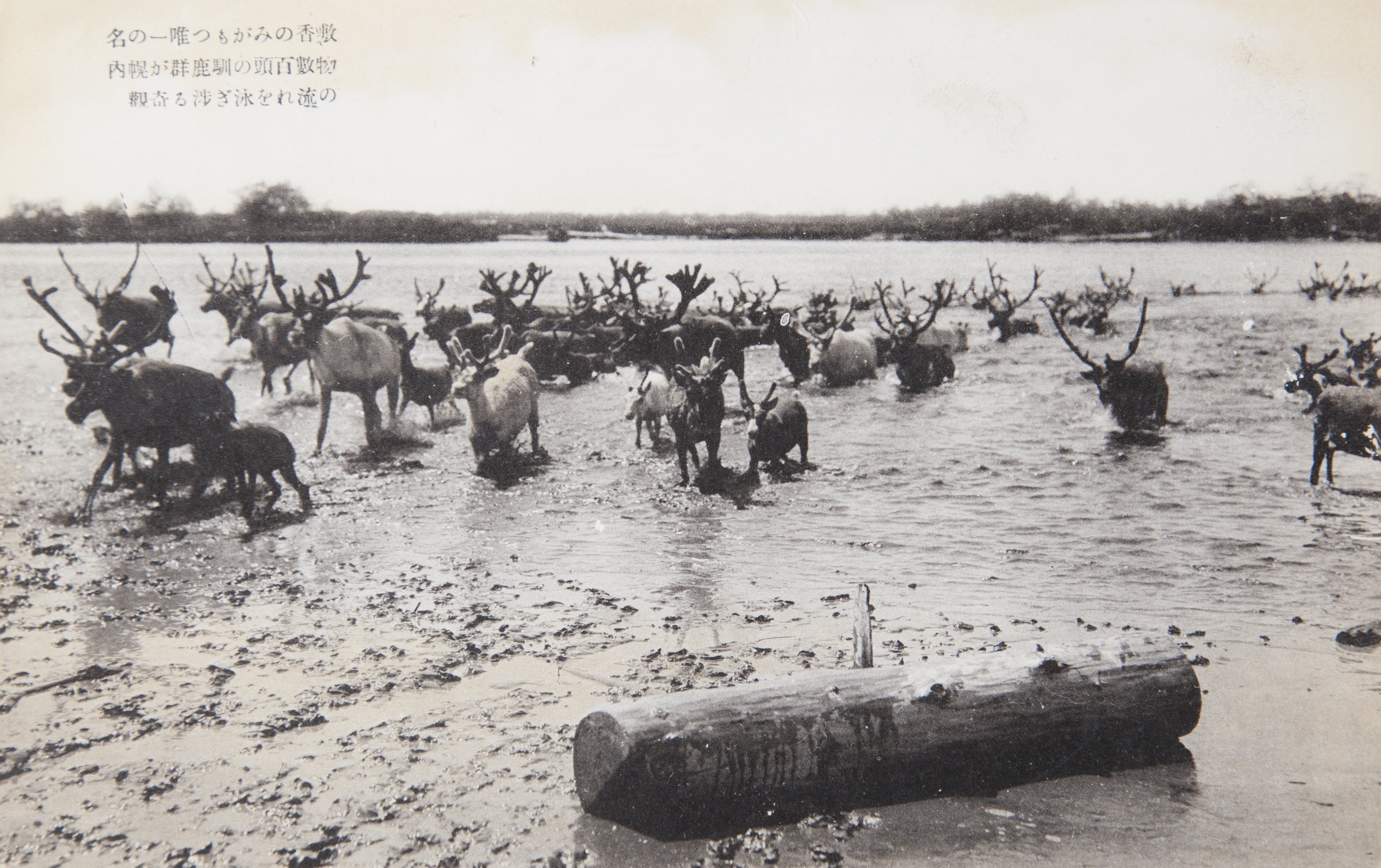 みんなに役立つ樺太の歴史－その5－（昔の樺太の風景）｜坂本寛明