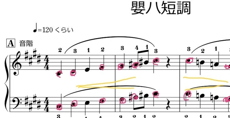 ドホナーニ ピアノ四重奏曲 嬰へ短調 スコア パート譜 楽譜】No. 7 嬰ヘ短調 / 地縛少年バンド (ピアノ伴奏 / 上級