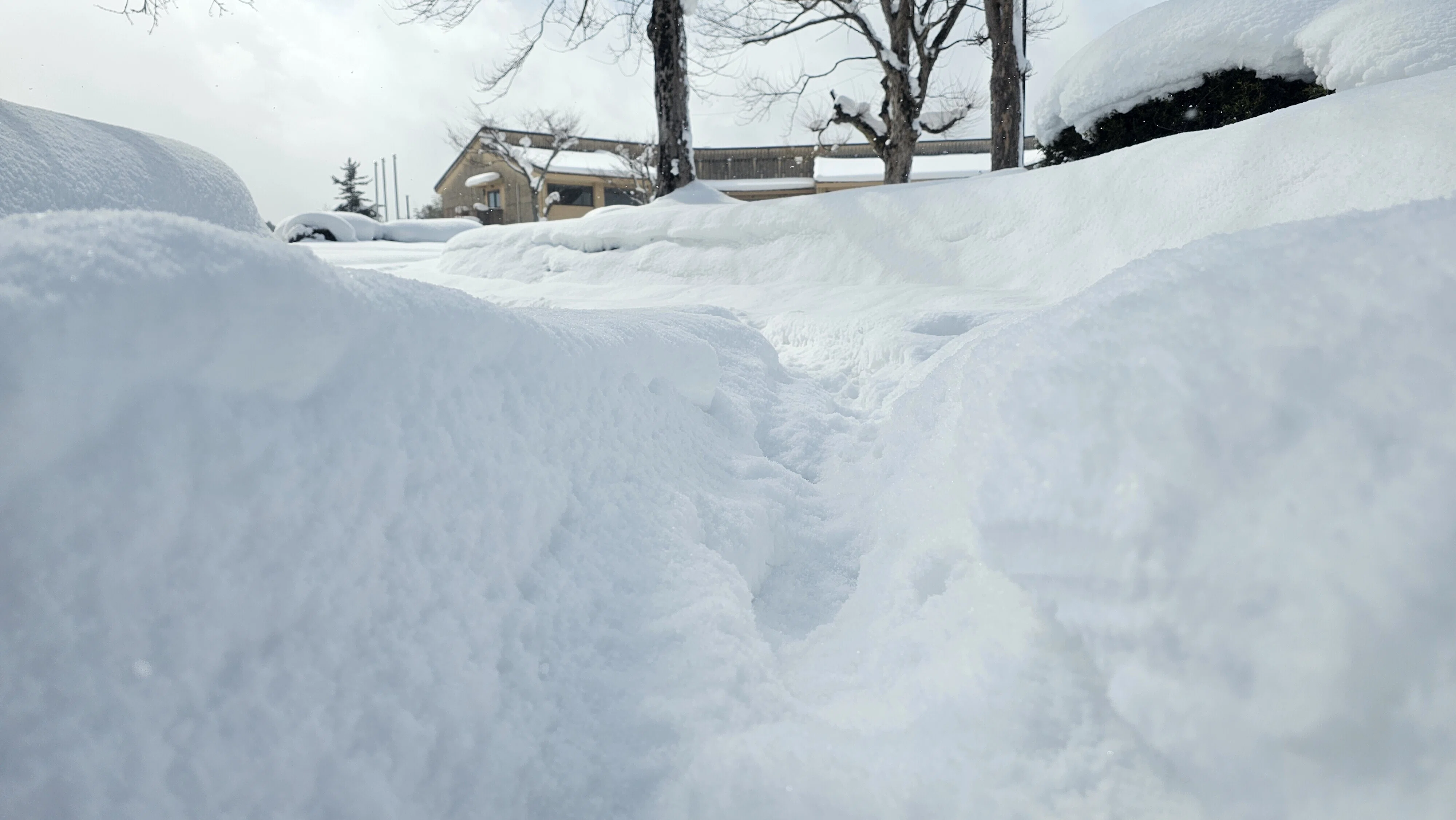 雪 歩道をかきわけ散策 40㎝の雪道を歩いて｜ふみぞう