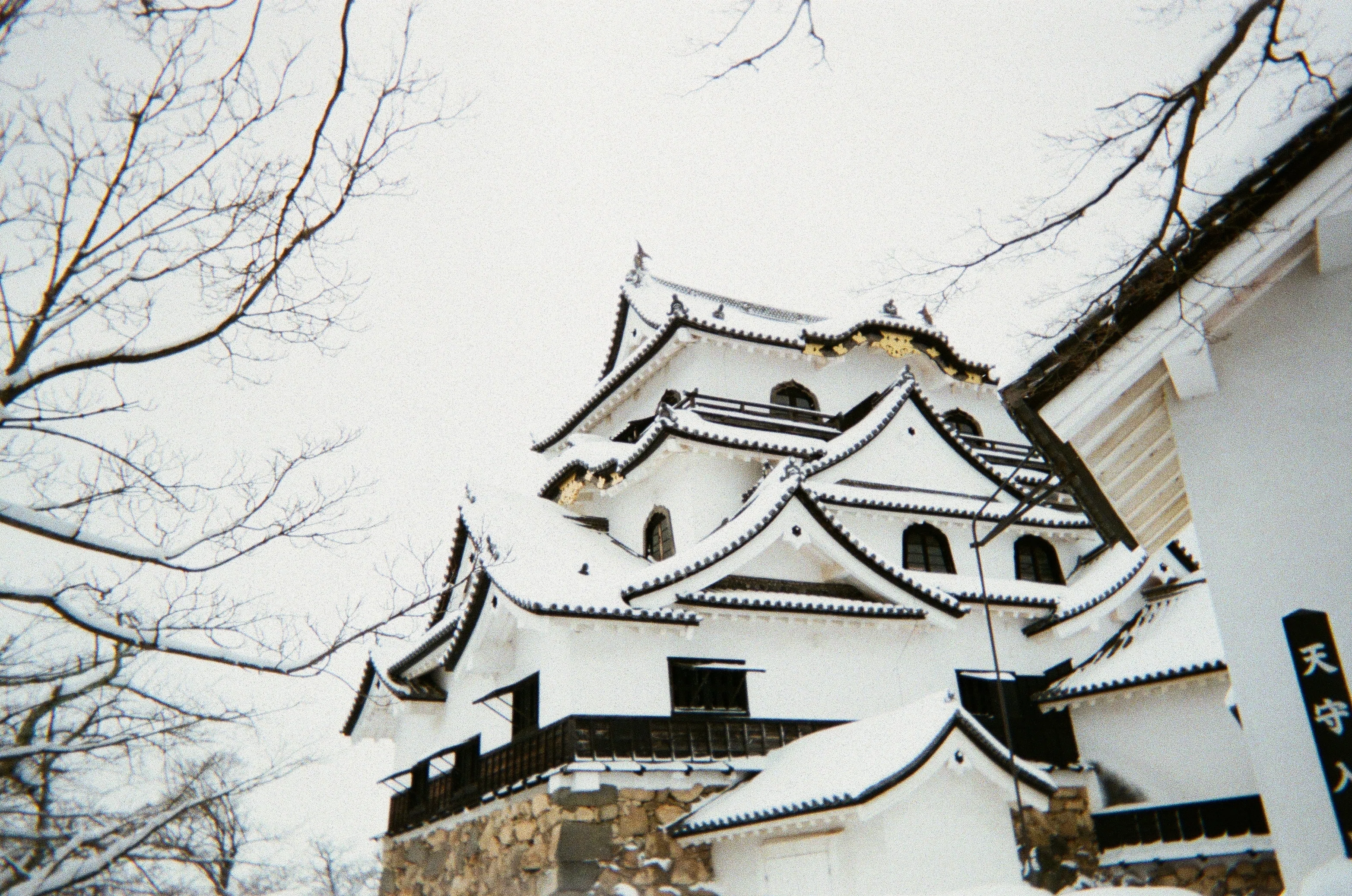 写ルンです】雪の彦根城（2018.1.26）｜イカマリネ