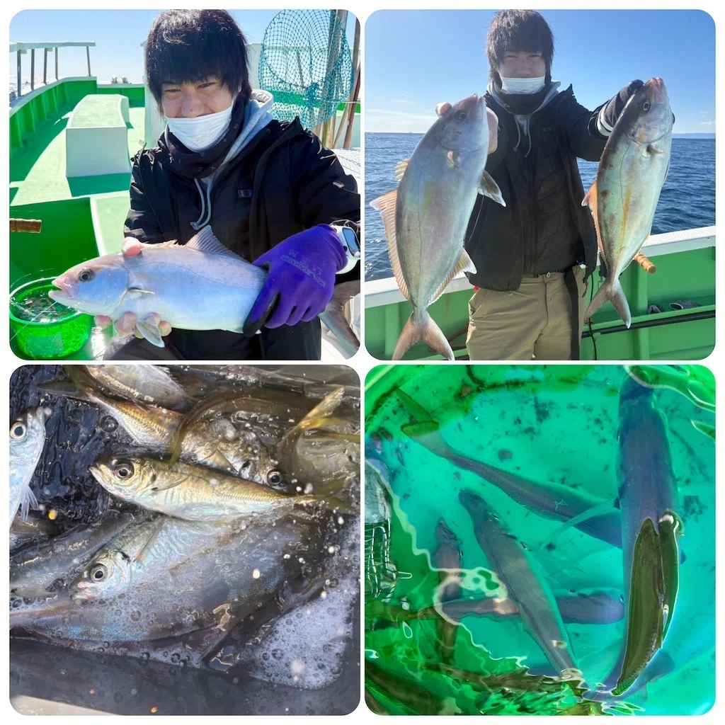 泳がせ】カンパチをゲット！20-30cmサイズのアジも釣れています