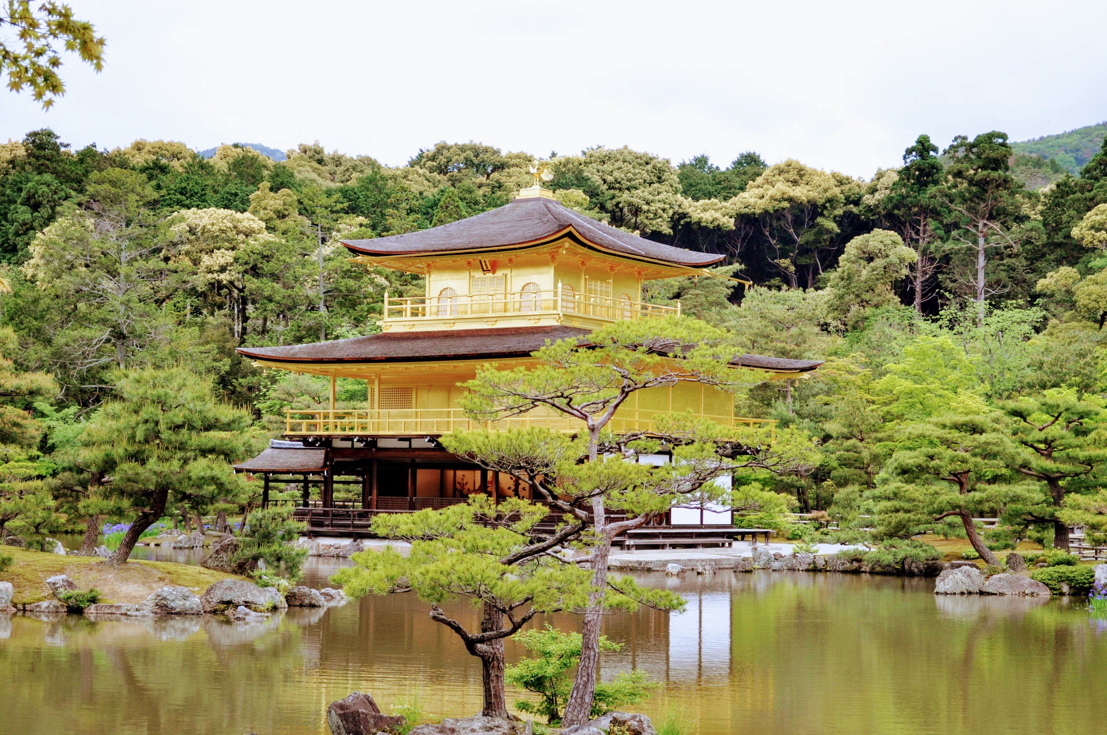季節で変わる風格・雪化粧の金閣 ー鹿苑寺金閣舎利殿(北区)ー 季節で変わる風格・雪化粧の金閣 ー鹿苑寺金閣舎利殿(北区)ー
