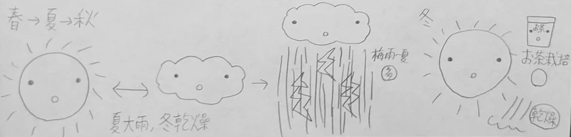 温帯夏雨気候は、夏が雨季で冬が乾季です。｜奥田蛍子
