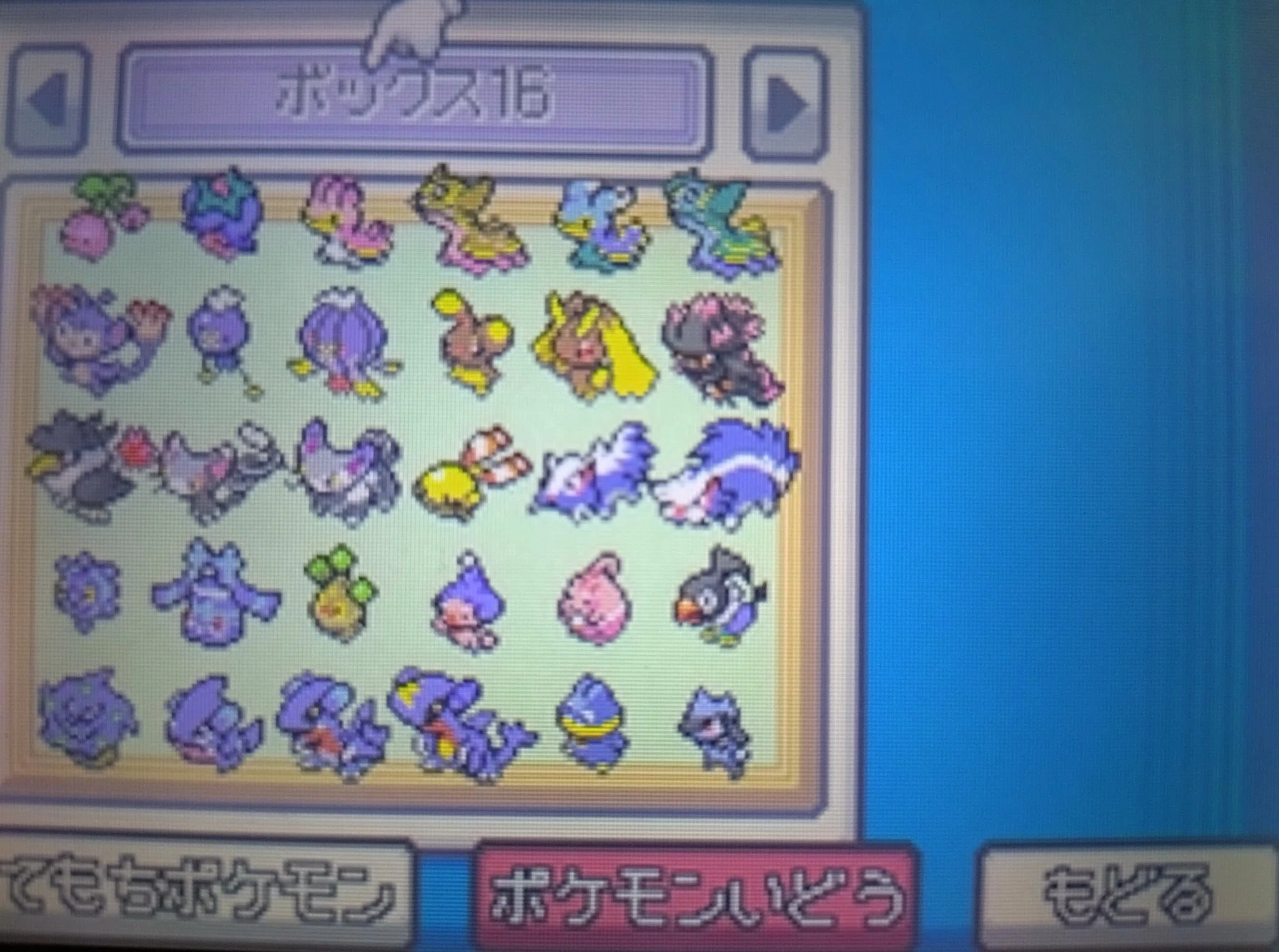 てれびくん6月号ふろく ポケットモンスターDX ひみつ図鑑ボックス 20枚