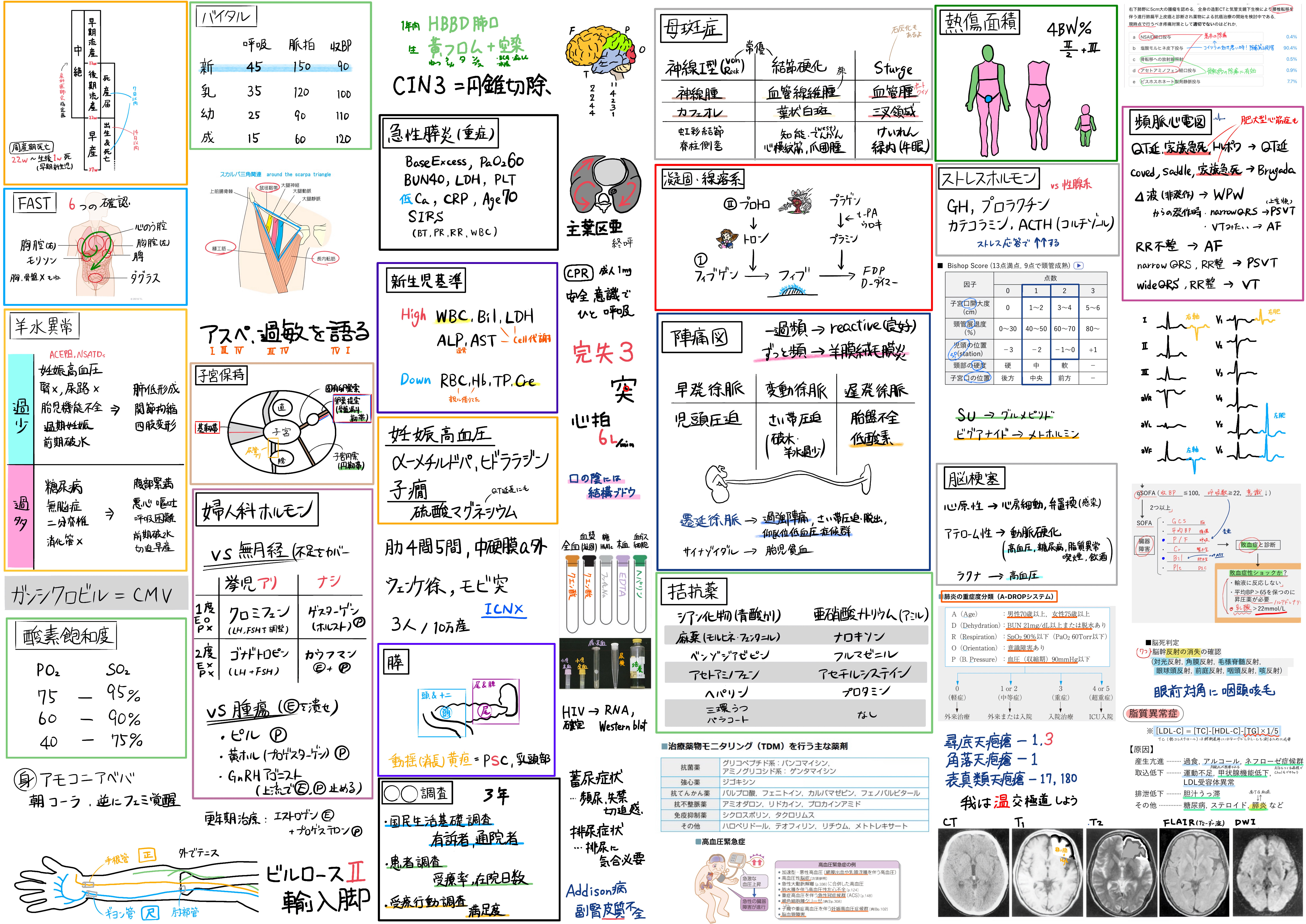 119回対策 歯科医師国家試験 予想資料 パート1 119回対策 歯科医師国家試験 予想資料 パート1 第119回】医師国家