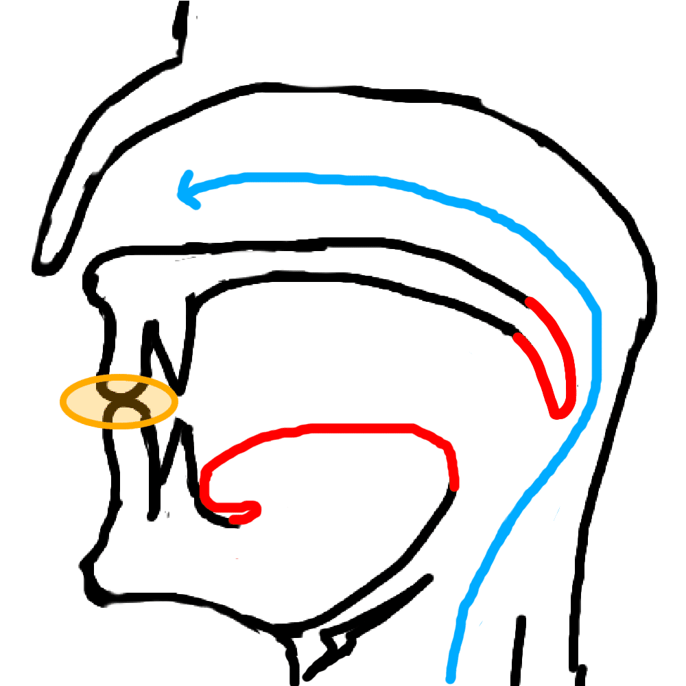 滑舌の改善方法【マ行編】|表現と発声と感情の研究室