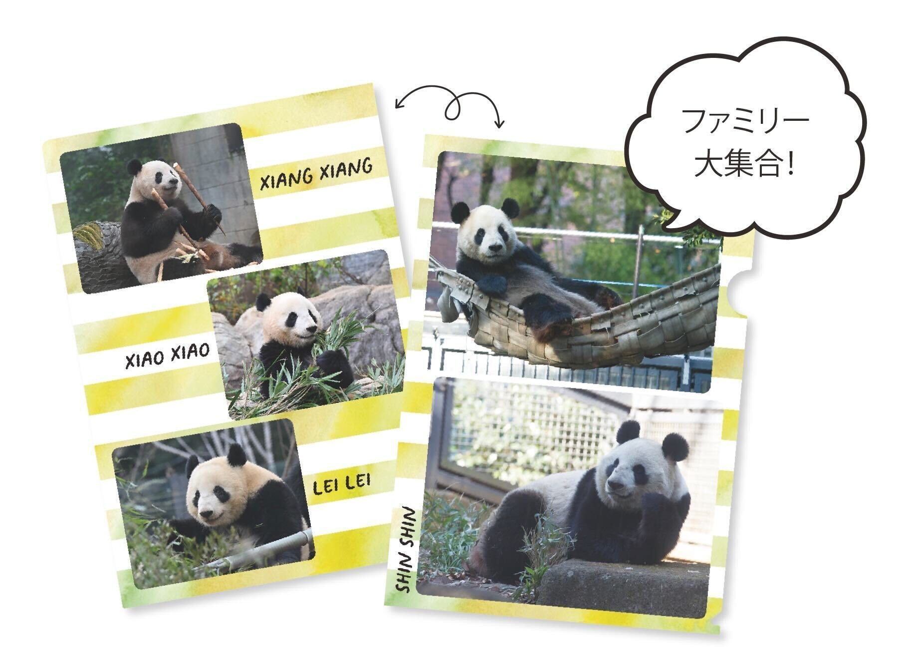 リーリー＆シンシンのメモリアルふせんBOOKとクリアファイルBOOK