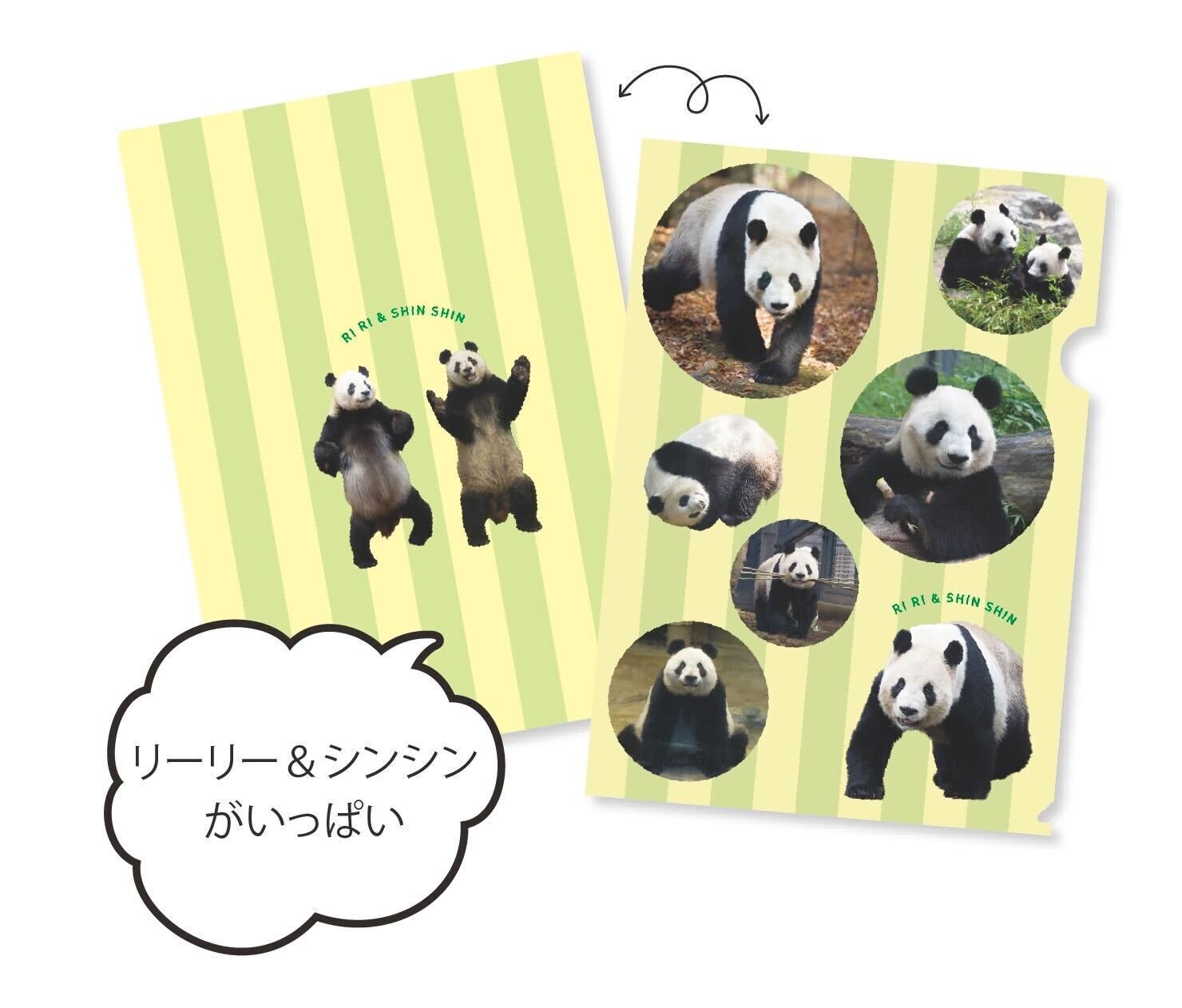 リーリー＆シンシンのメモリアルふせんBOOKとクリアファイルBOOK