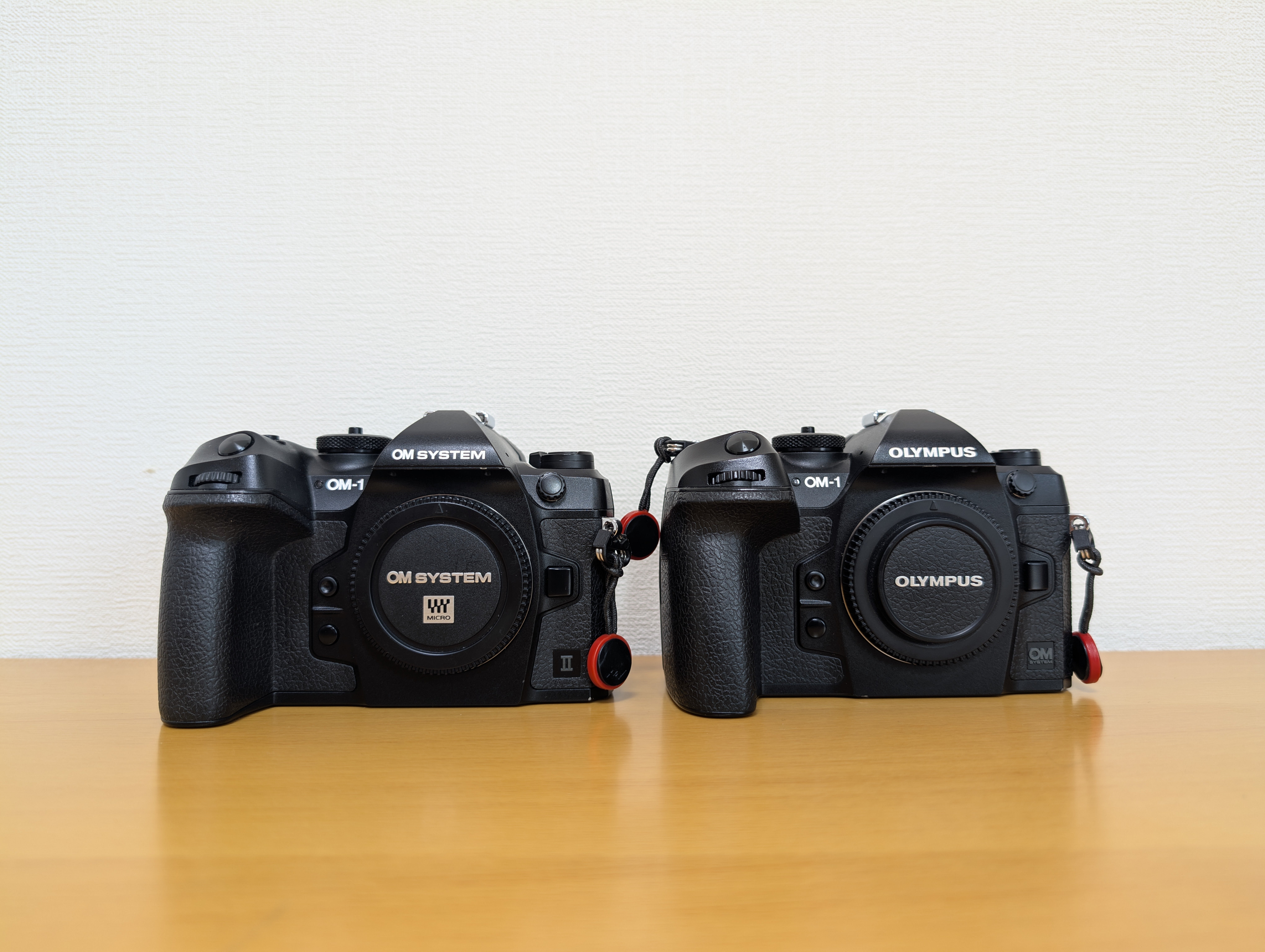 1万字オーバー!!】OM SYSTEM OM-1 MARK II / 1年間使用レビュー