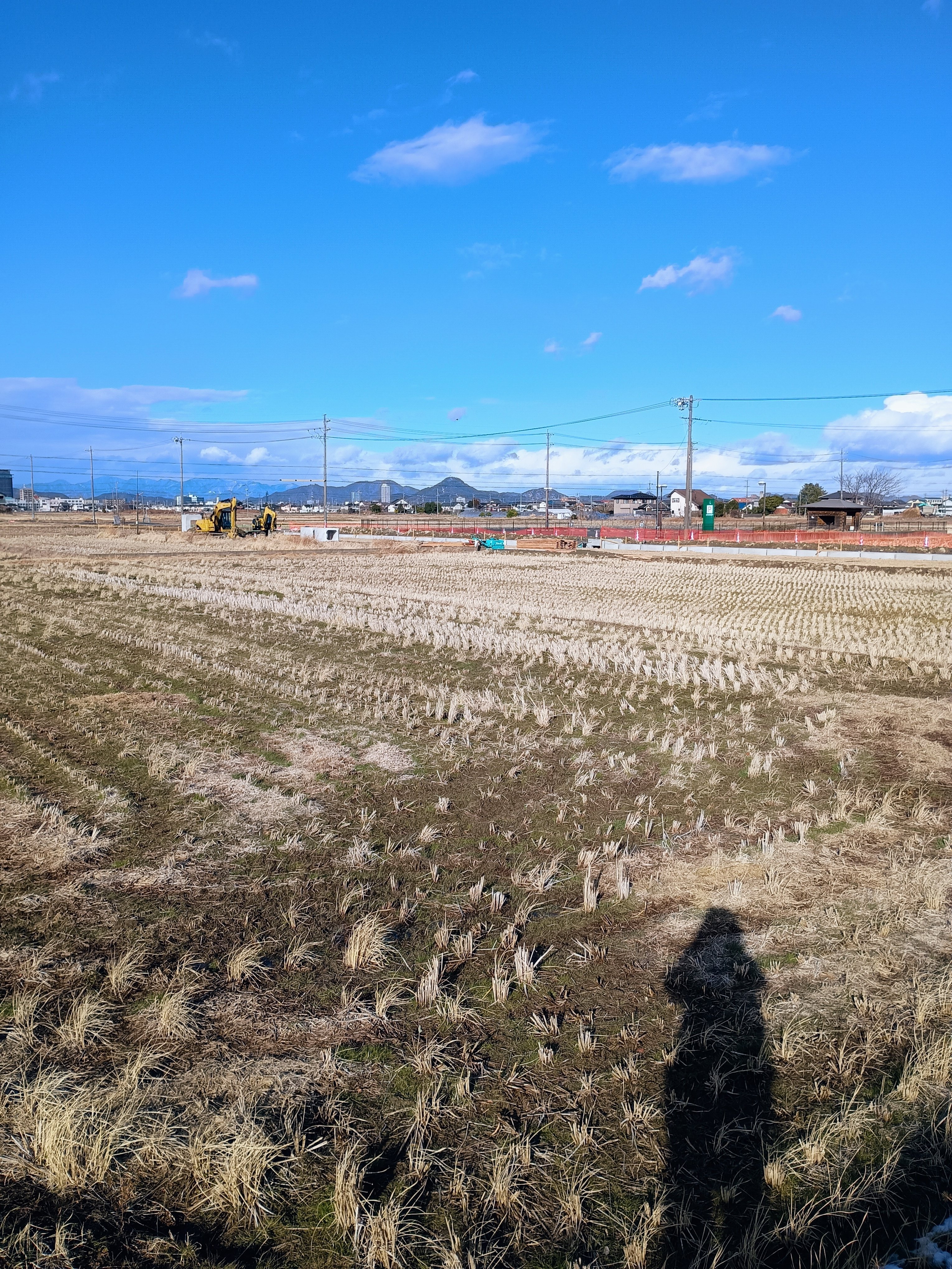 ゆる登山】天国と地獄を味わった金華山(岐阜市)｜しょう@韓国語