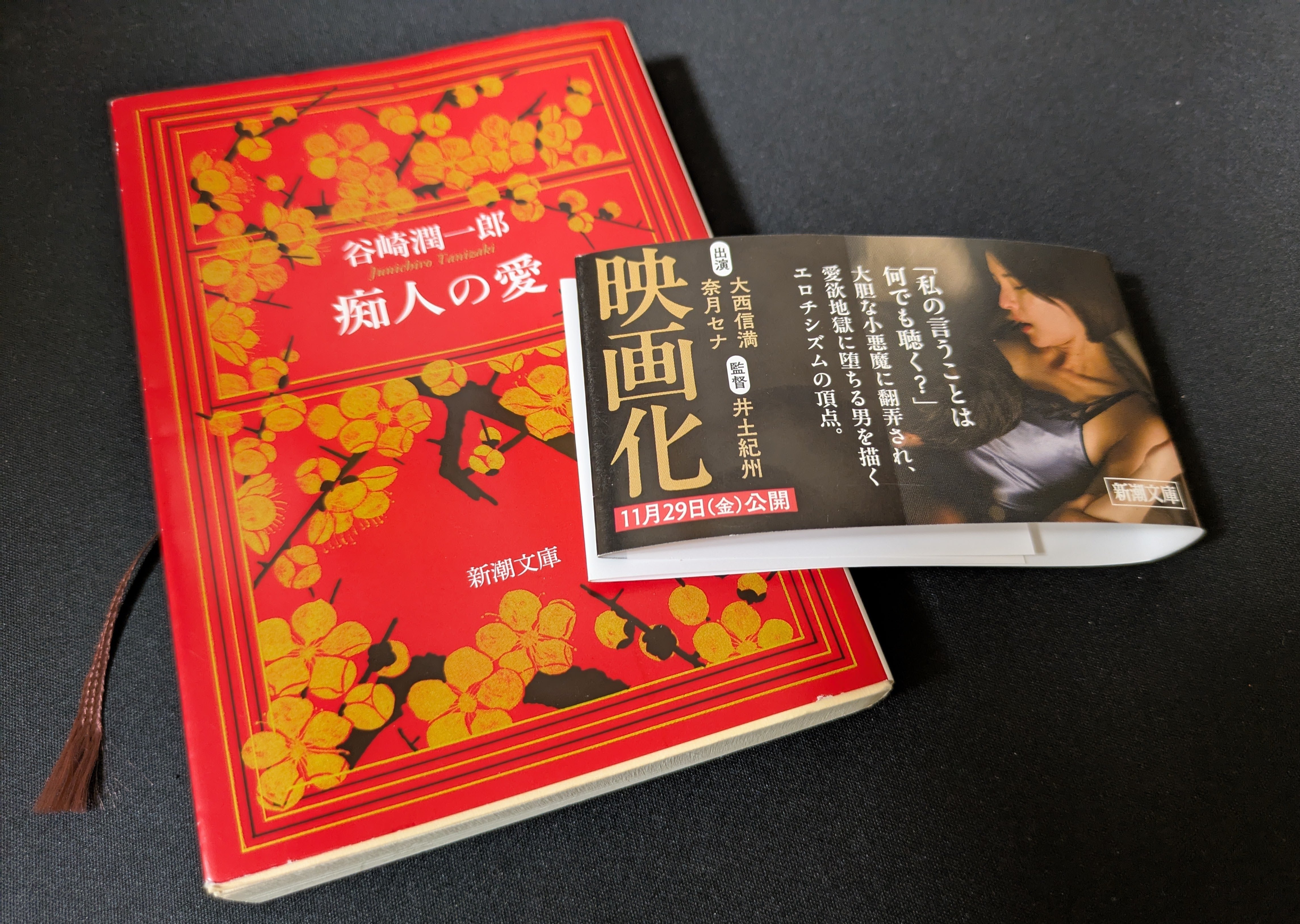 読書記録「痴人の愛」｜ほしうみ