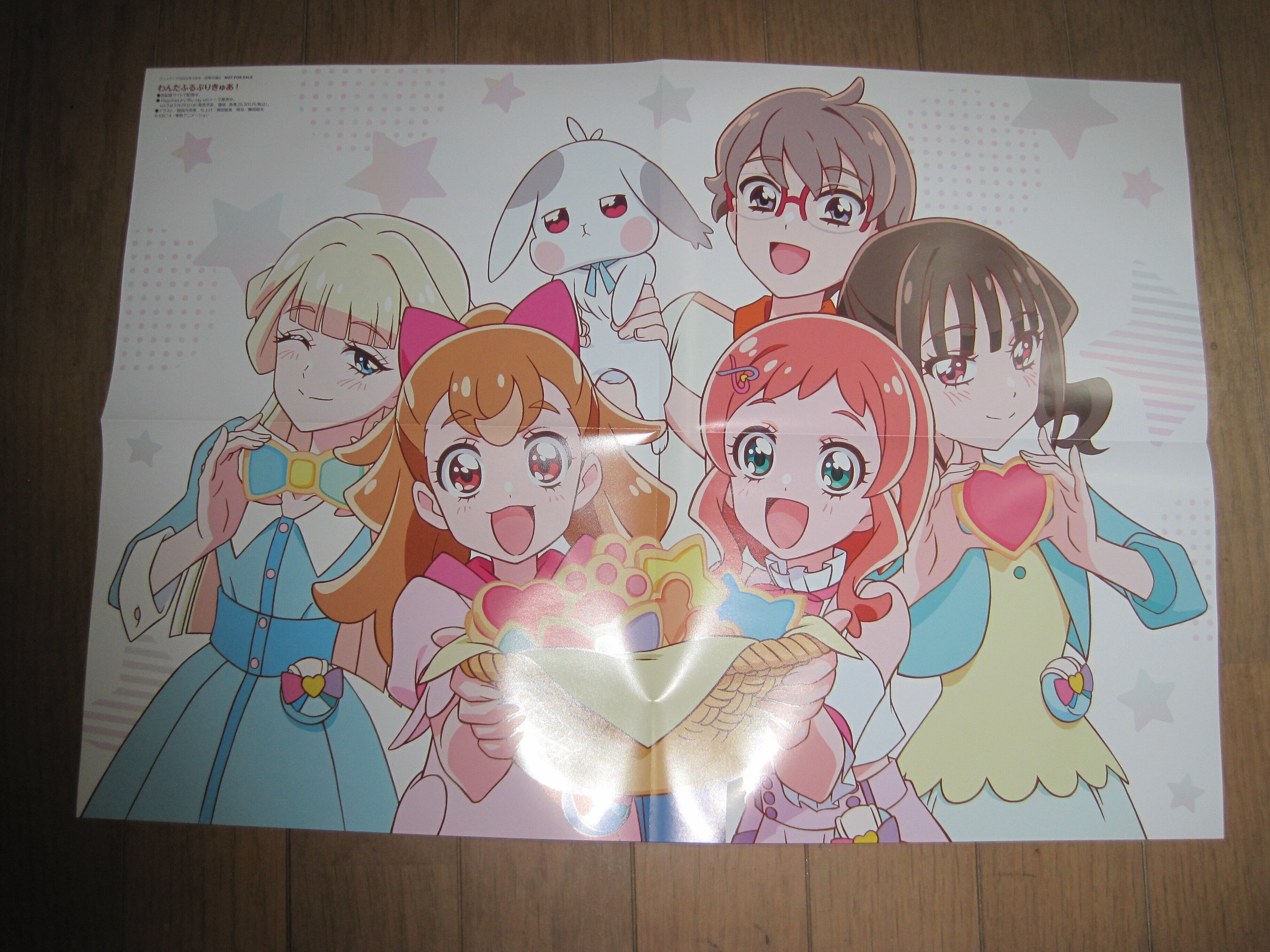 アニメディア2025年3月号プリキュア特集レビュー「みらいの『重さ』は