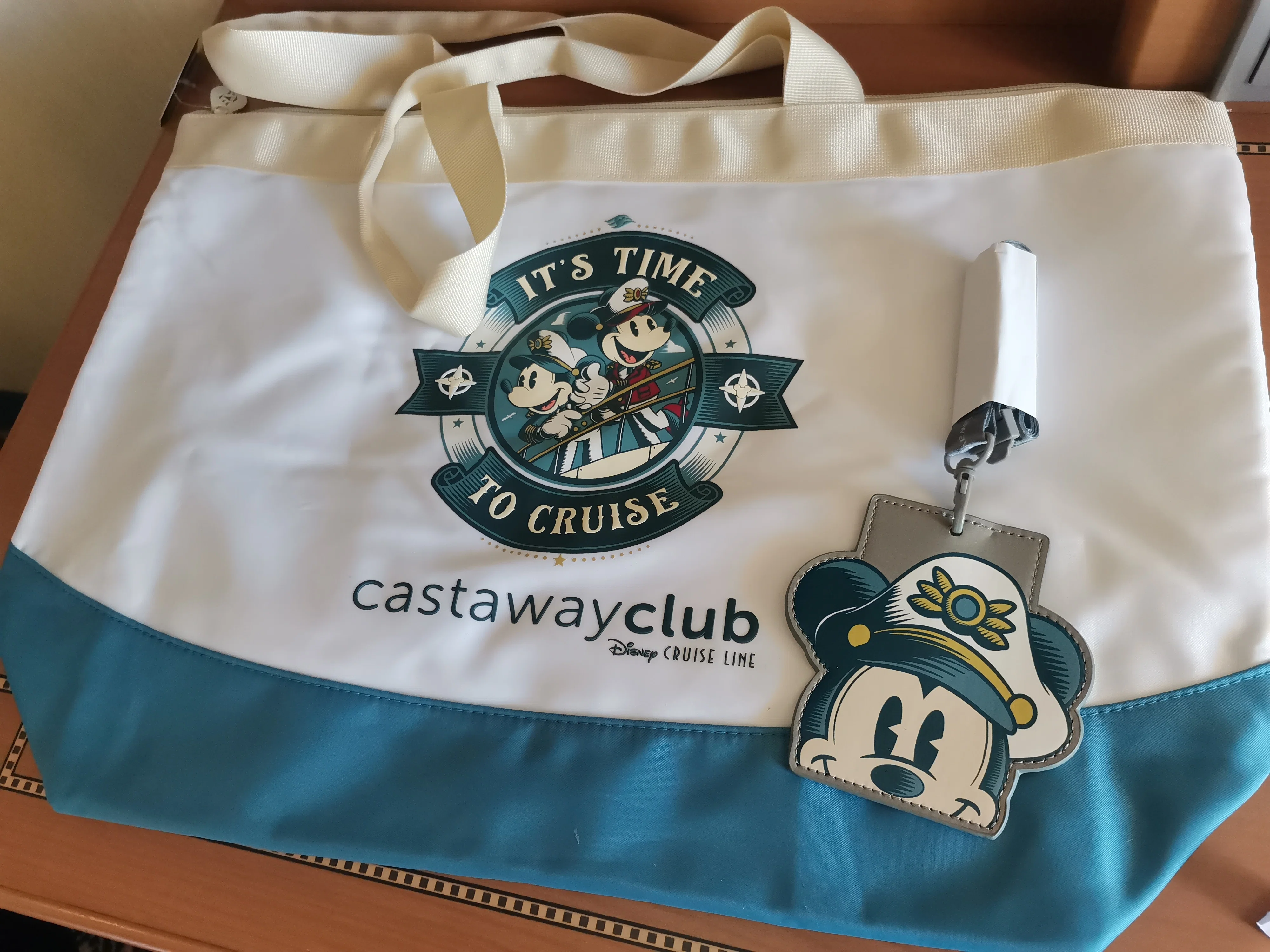 ディズニークルーズ アドベンチャー号 シンガポール 限定バッグ