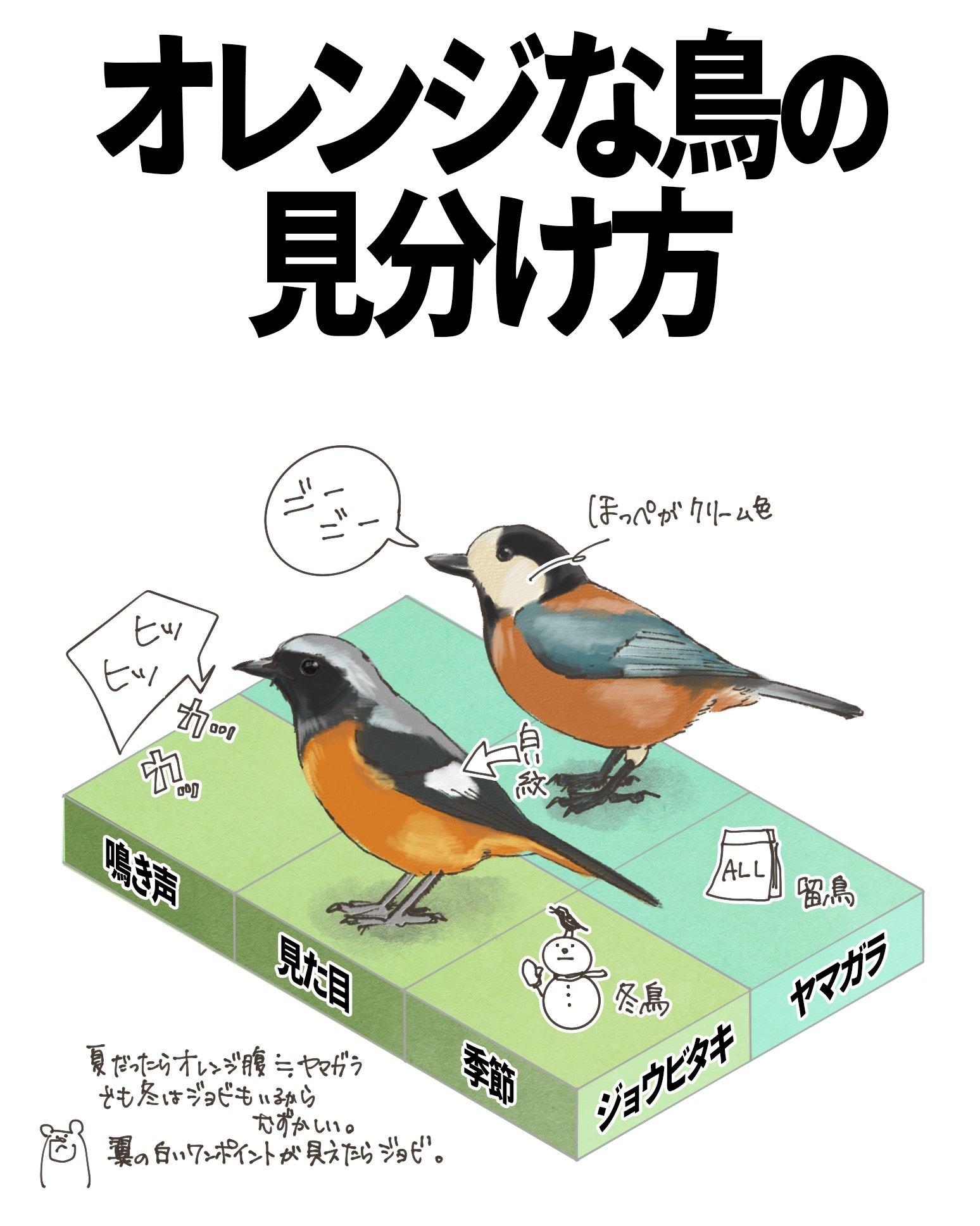 オレンジな鳥の見分け方｜ヤマガラ、ジョウビタキ｜くますけ｜自然
