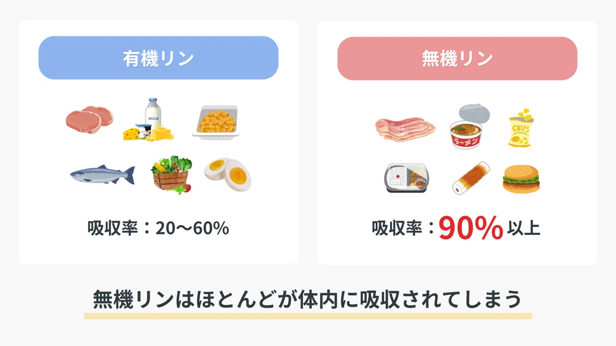 【第8回】リンの【含有量】と【吸収率】から見た控えるべき食品|1日3分でちょっと物知りになれる【健康豆知識】