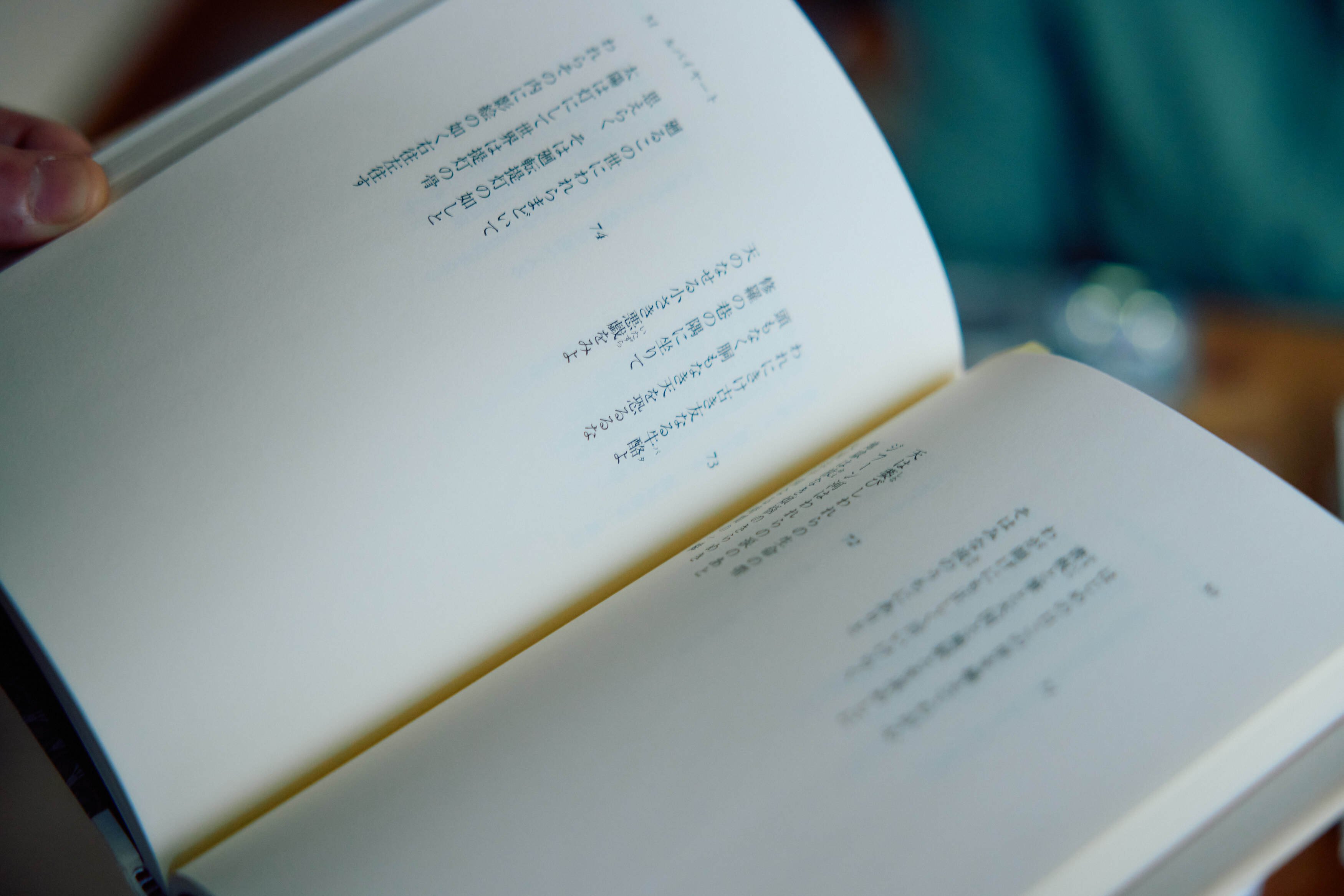 語の詩の本 イラン現地品 値下げ※希少※ペルシャ語の詩