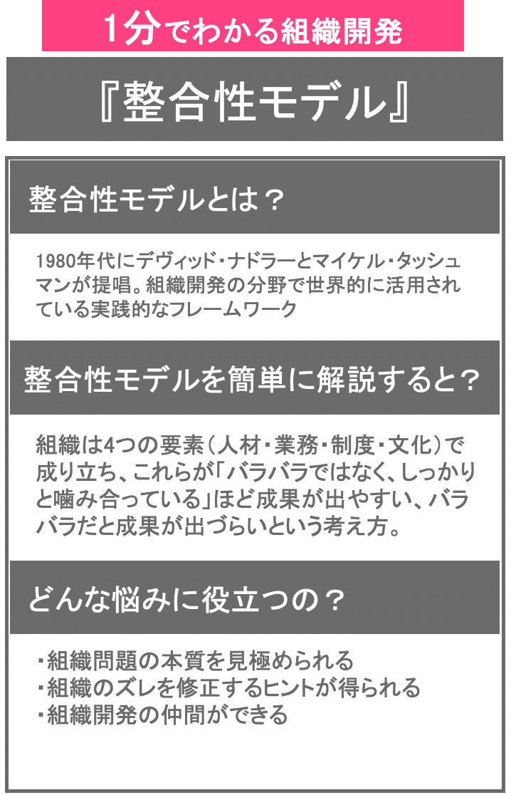 組織開発の第一歩:整合性モデルを活用して、組織の全体像を把握 組織開発の第一歩:整合性モデルを活用して、組織の全体像を把握