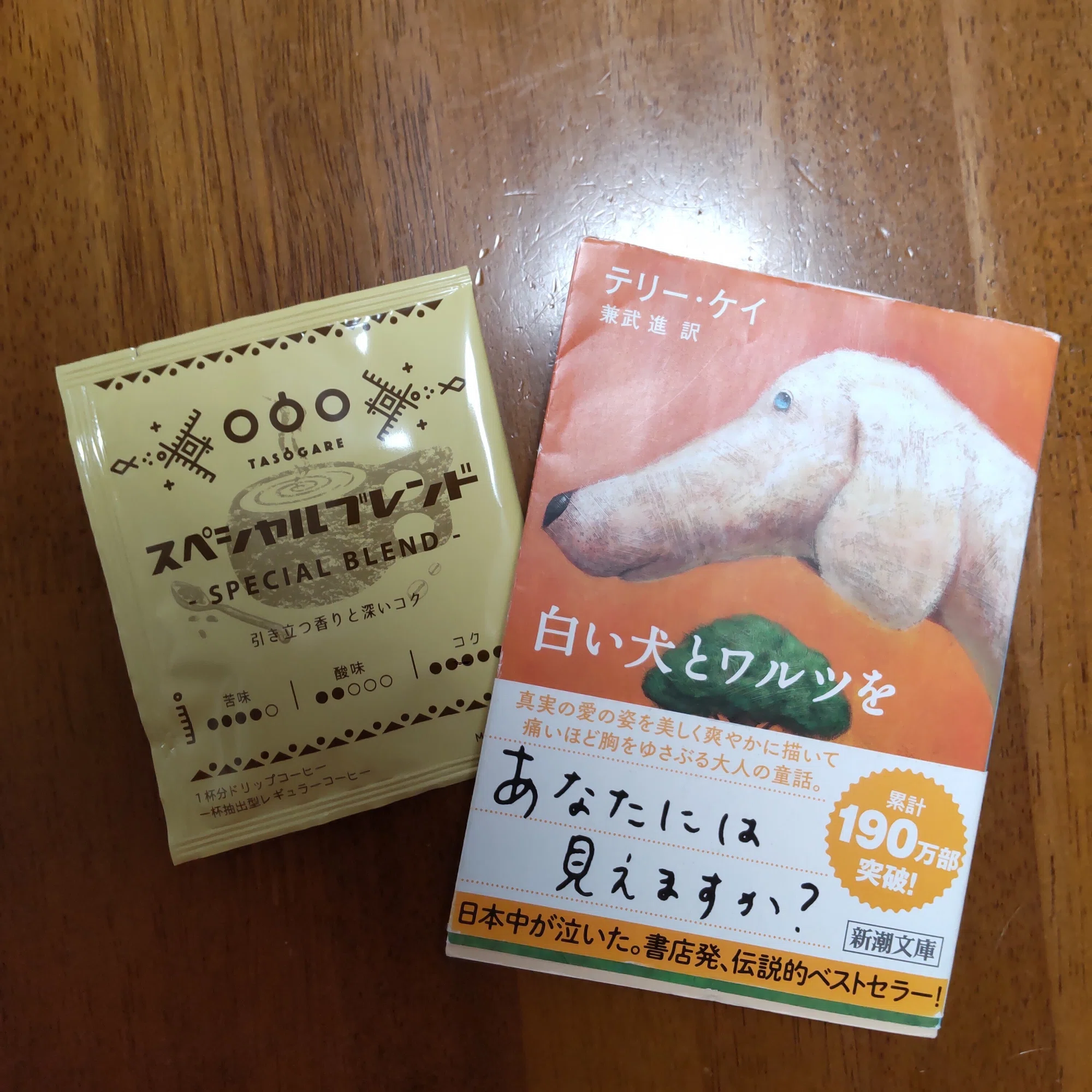 白い犬とワルツを(テリー・ケイ)｜中川希美
