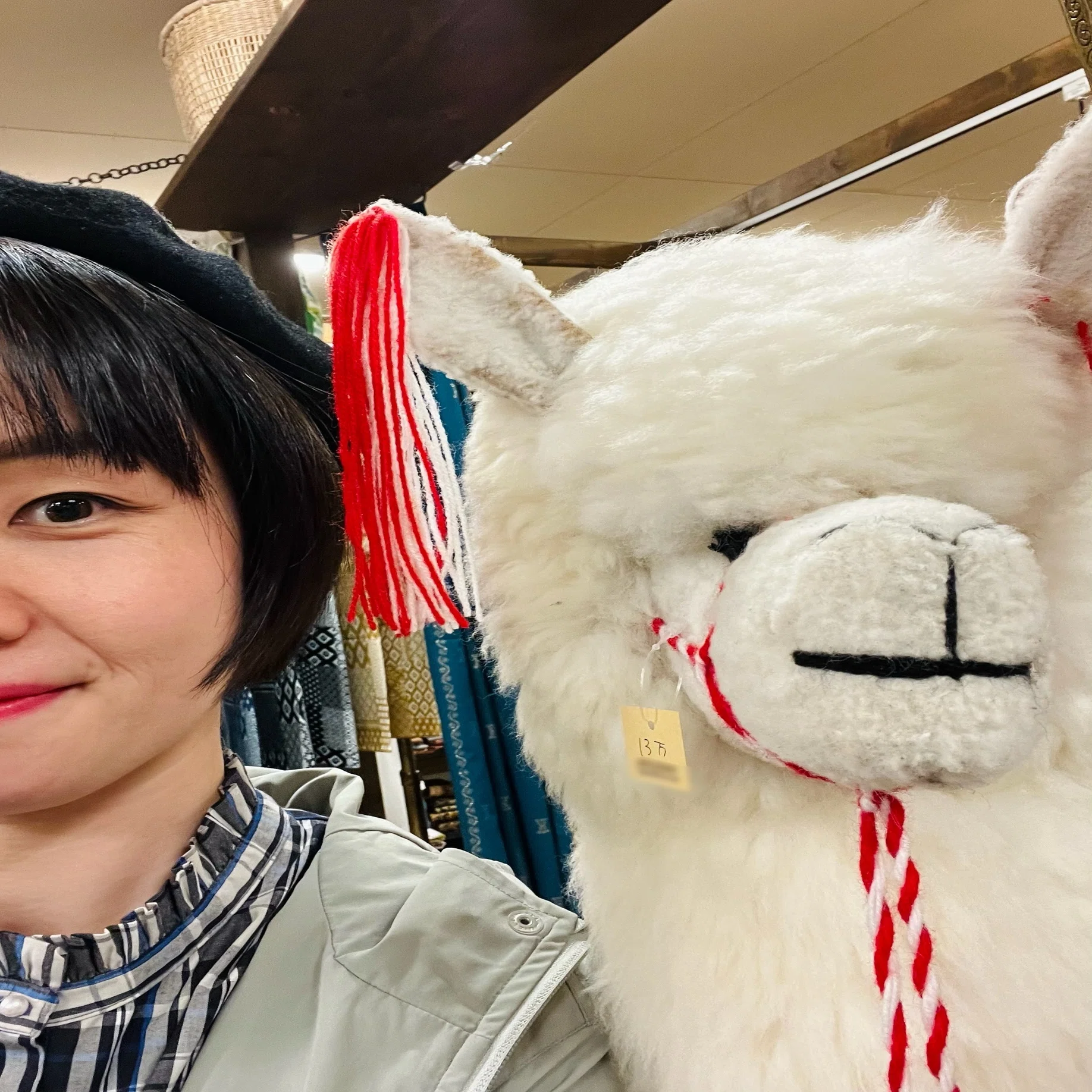 🦙Llamas and Alpacas🦙｜阿久澤 美和／マリンバ奏者