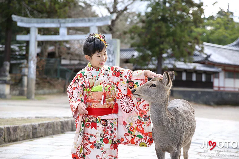 手向山八幡宮で七五三出張撮影