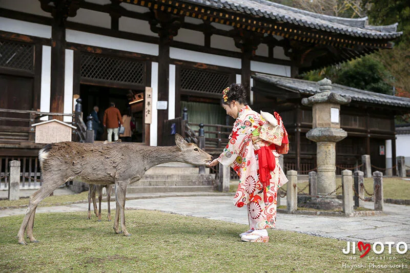 手向山八幡宮で七五三出張撮影