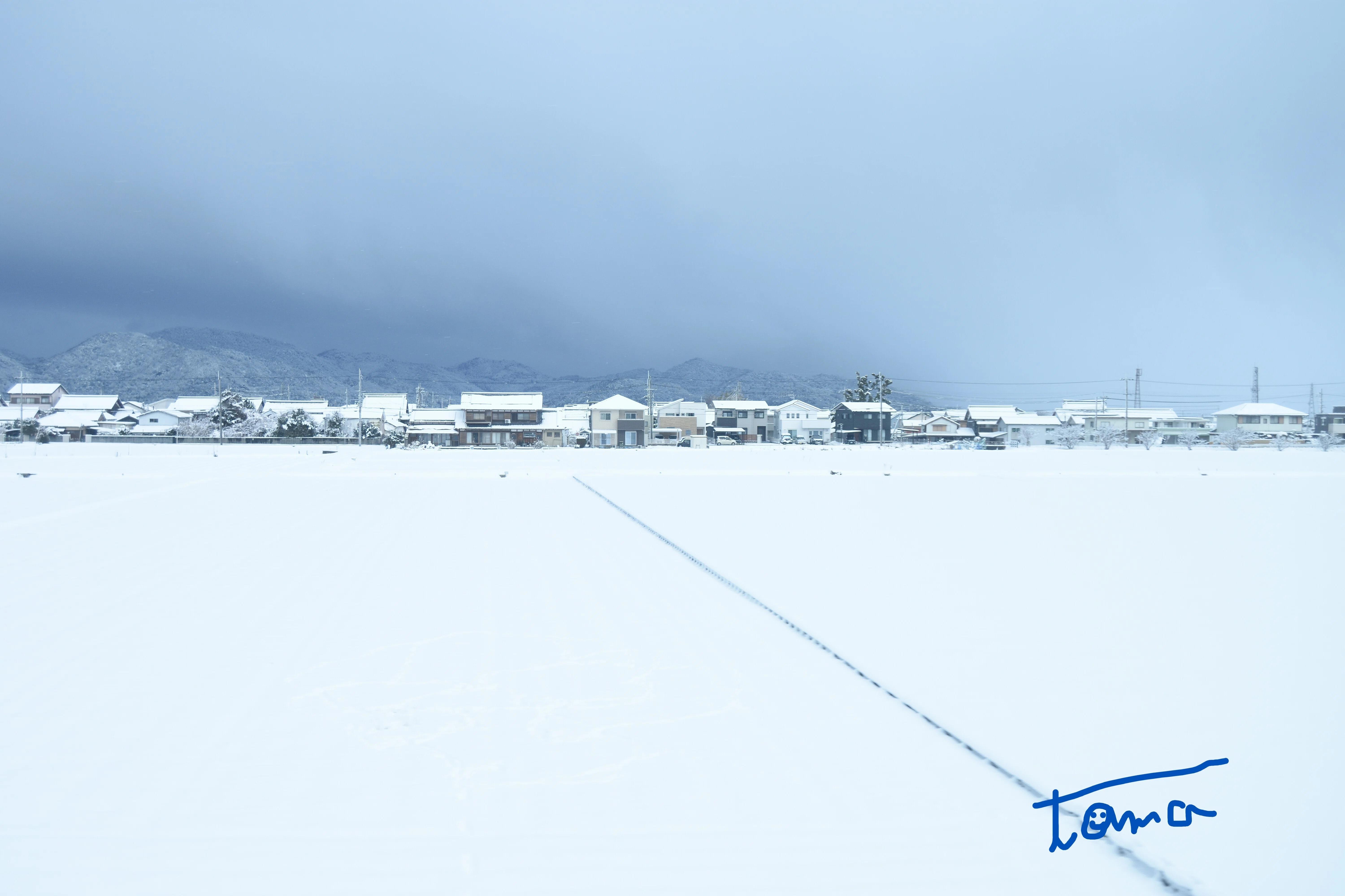 白と黒の美 雪の彦根城を行く！｜tama：旅と動物、時々おいしいものが