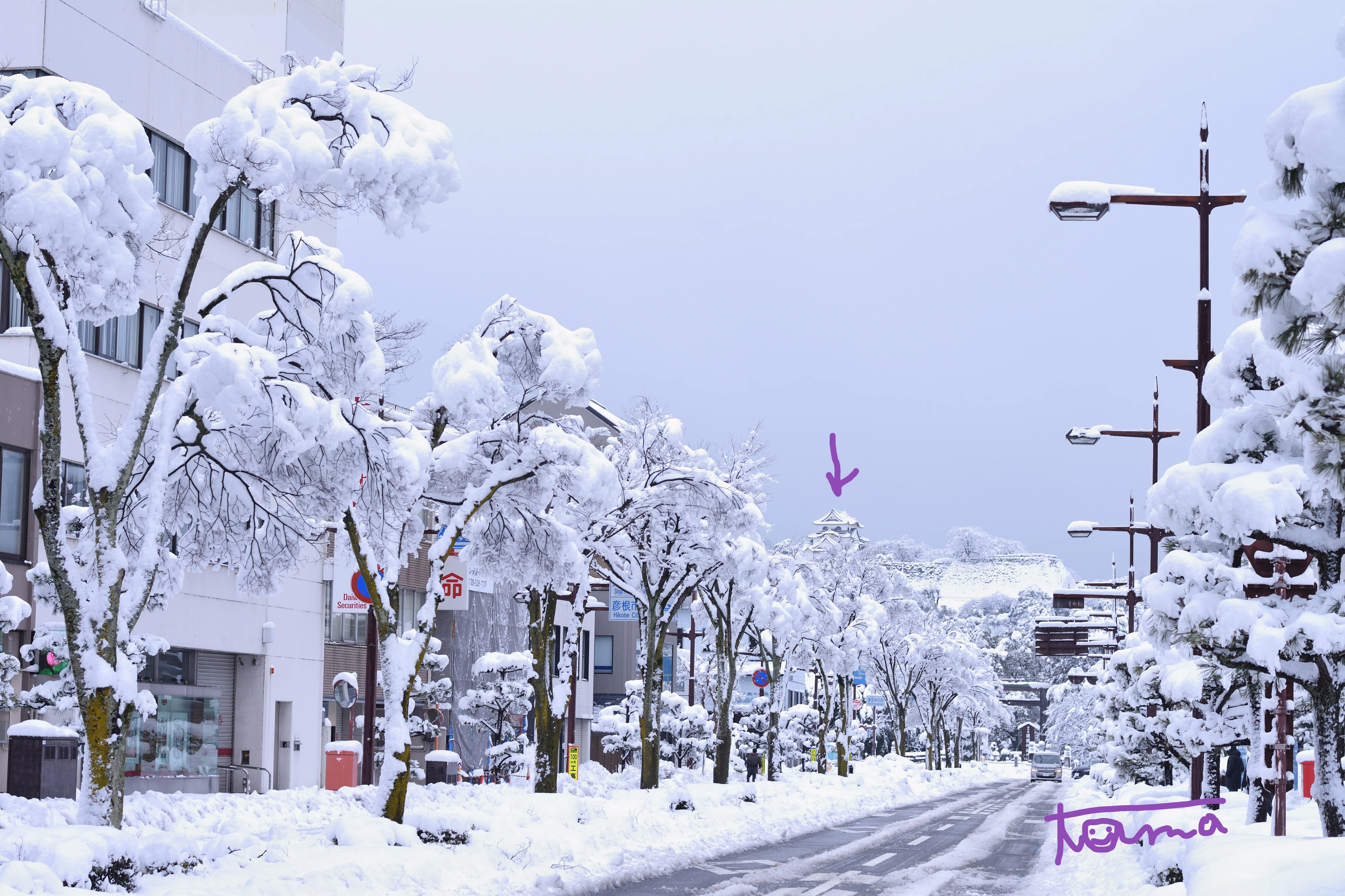 白と黒の美 雪の彦根城を行く！｜tama：旅と動物、時々おいしいものが