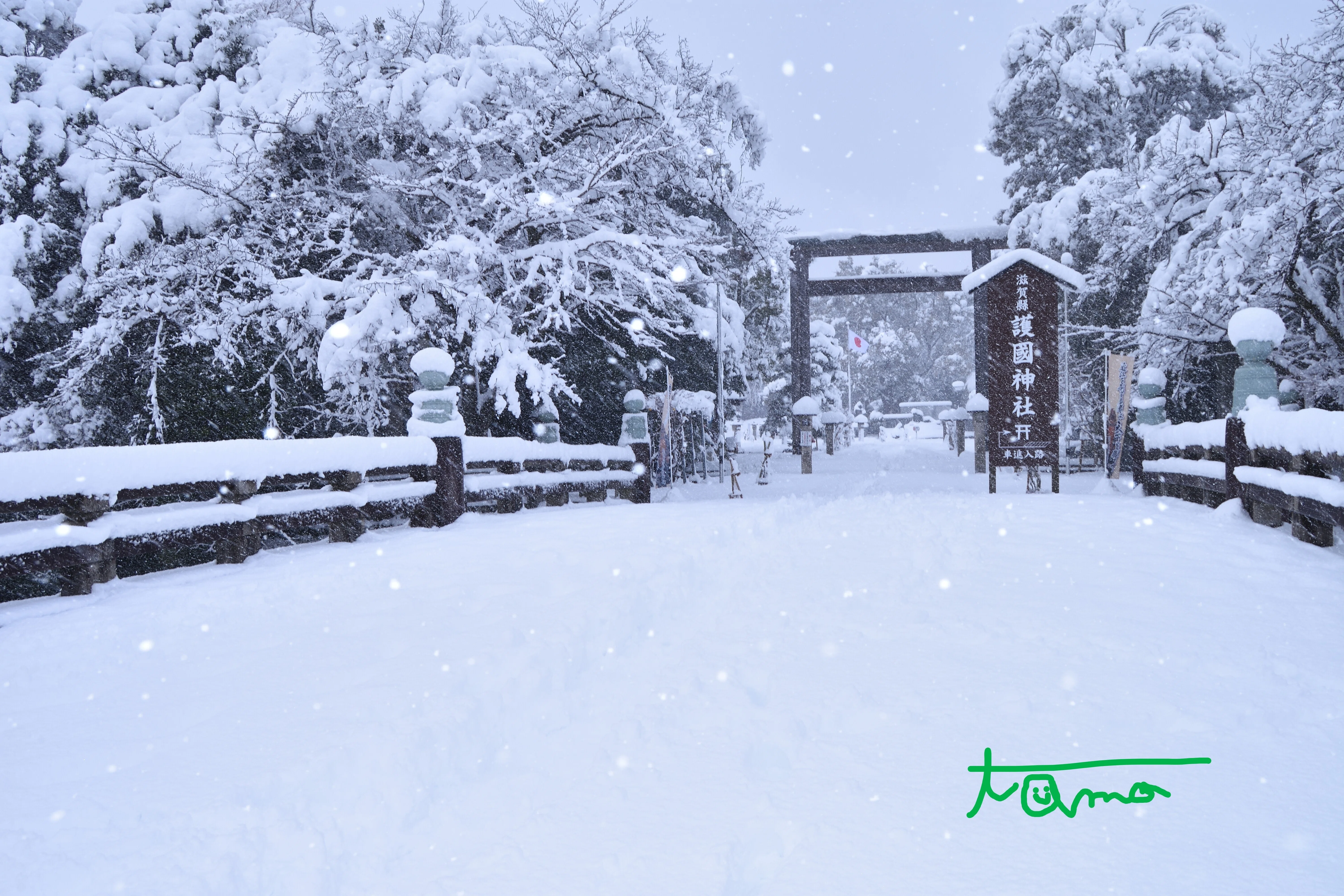 白と黒の美 雪の彦根城を行く！｜tama：旅と動物、時々おいしいものが