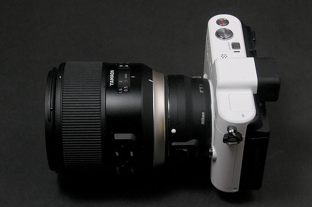 【やや難あり】TAMRON SP35mm F1.8 ニコン Nikon1v1｜TAMRON SP35mm f/1.8｜夏と放し飼い