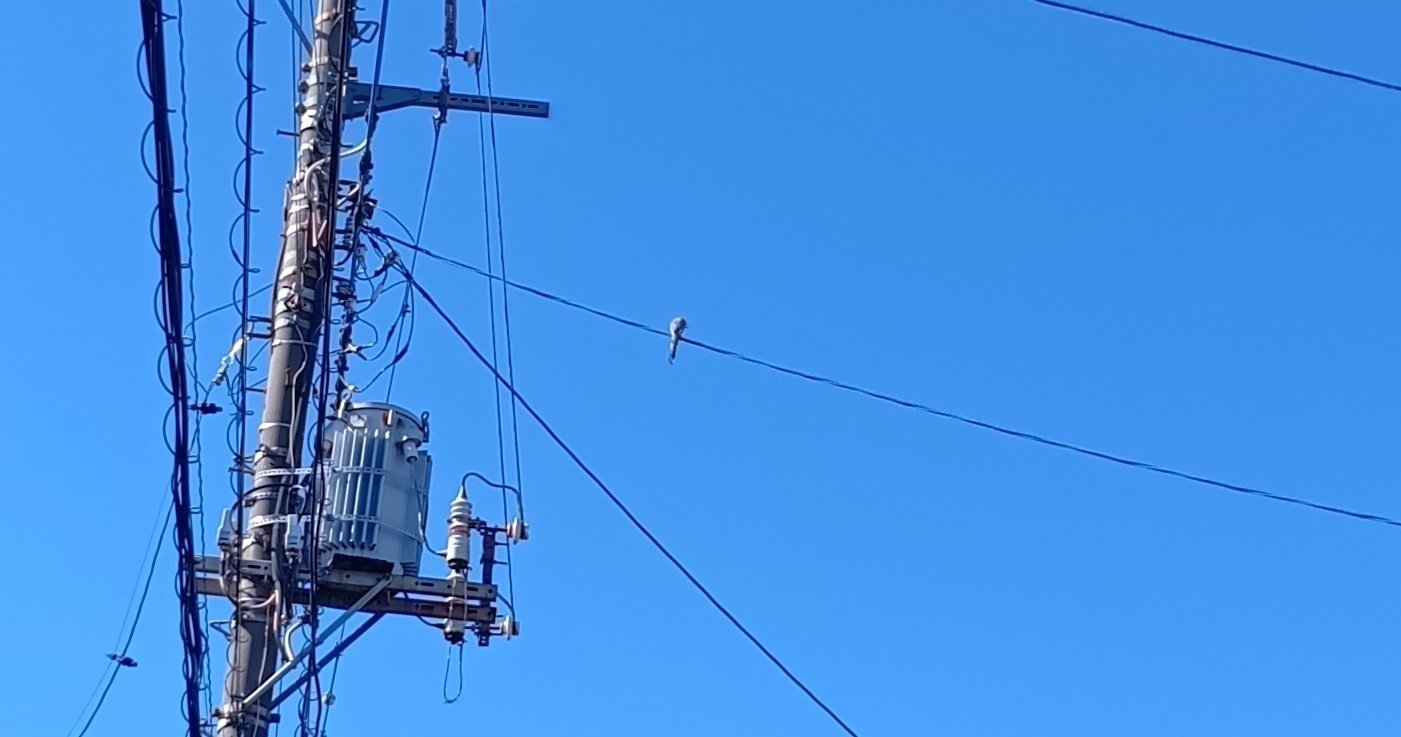 温かな日差し、青い空｜haruka