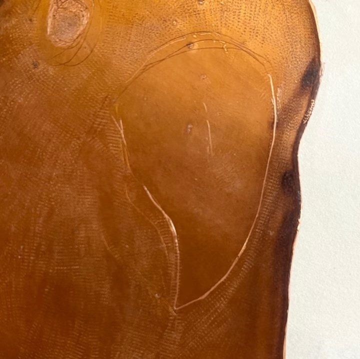 一番人気❗️今月ラス2❕️手作り額付き銅版画応用絵画　「きらめきニャンコ」 一番人気❗️今月ラス2❕️手作り額付き銅版画応用絵画