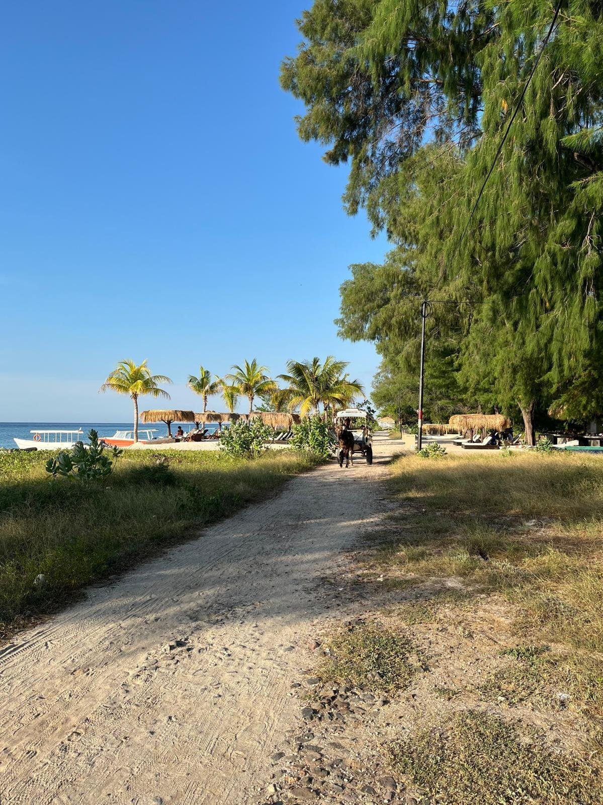 インドネシア島旅⑥ロンボクの離島Gili Meno｜Linda Aoki