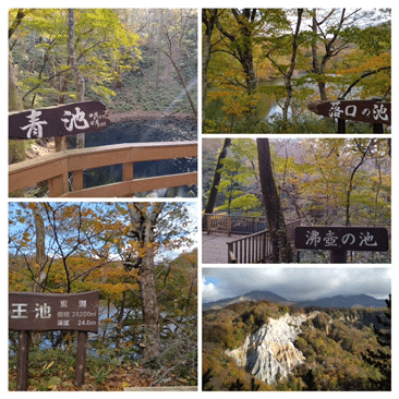 渡部広志 | 昨日の十和田八幡平国立公園、八甲田。 Towada