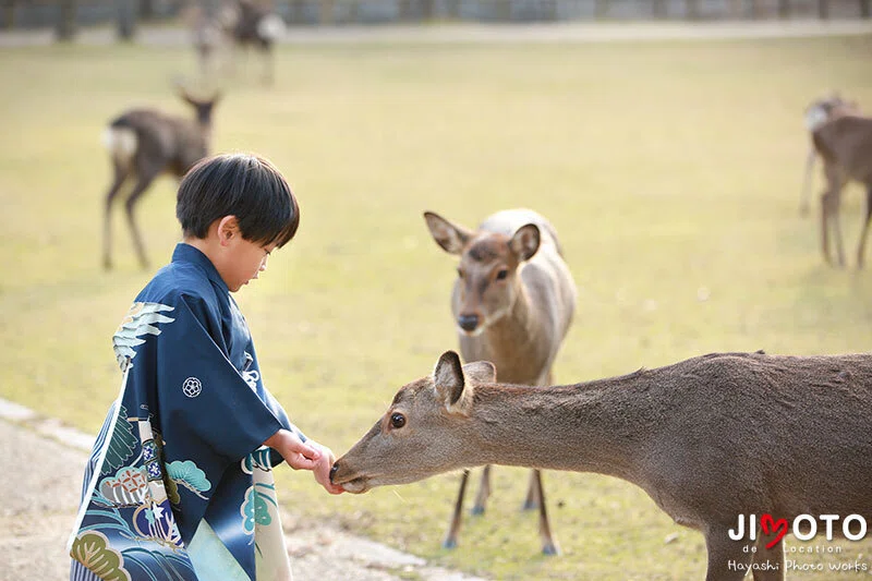 奈良公園で七五三ロケーションフォト
