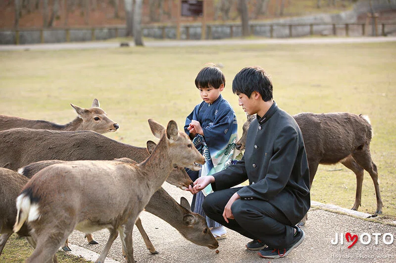 奈良公園で七五三ロケーションフォト