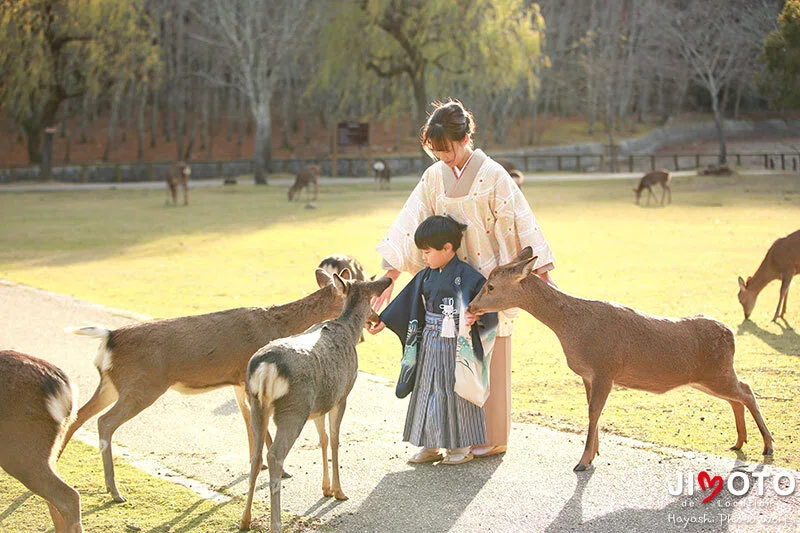 奈良公園で七五三ロケーションフォト