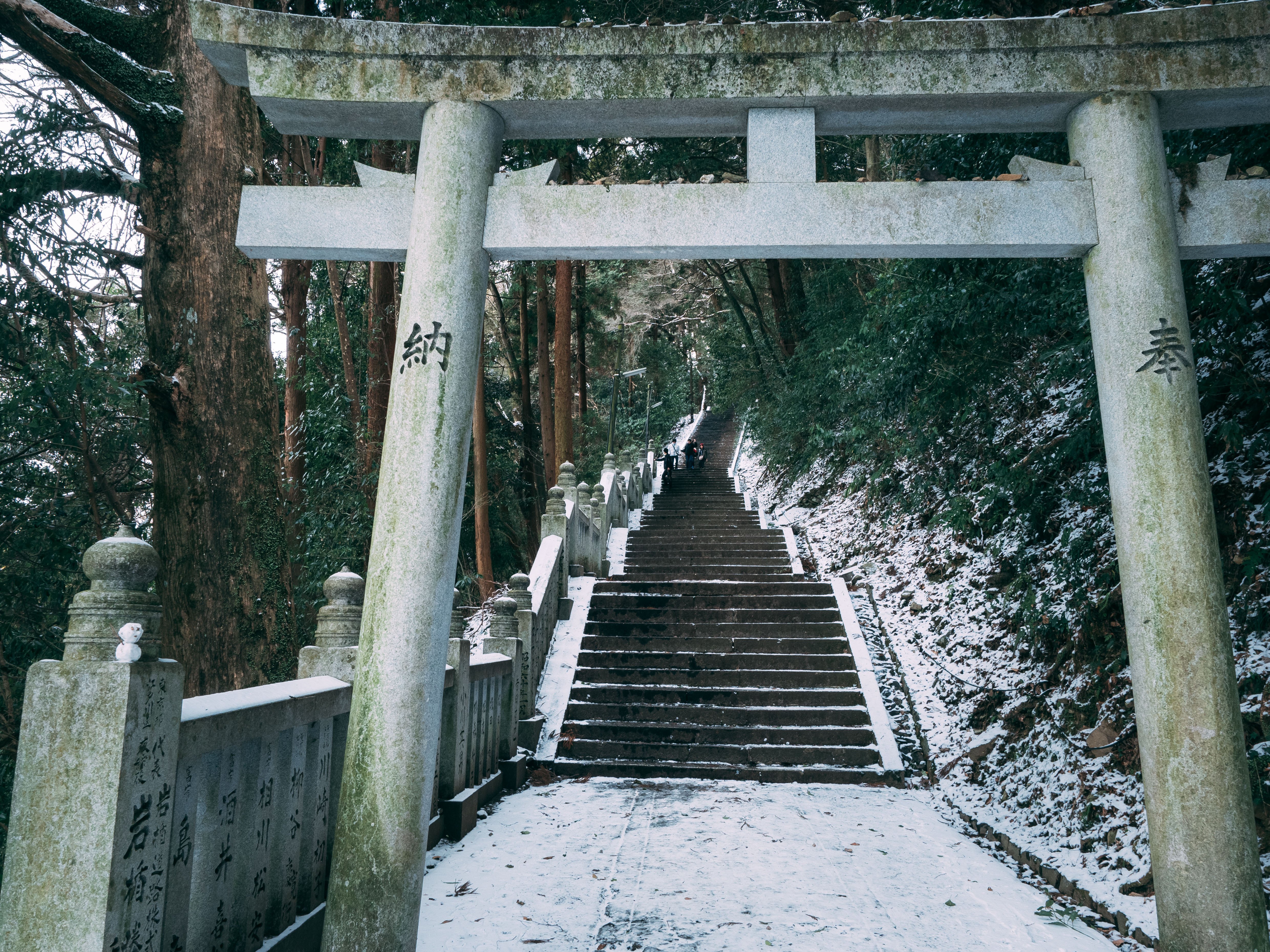 お出かけ二毛作日記#17 香川足腰破壊旅行｜かく