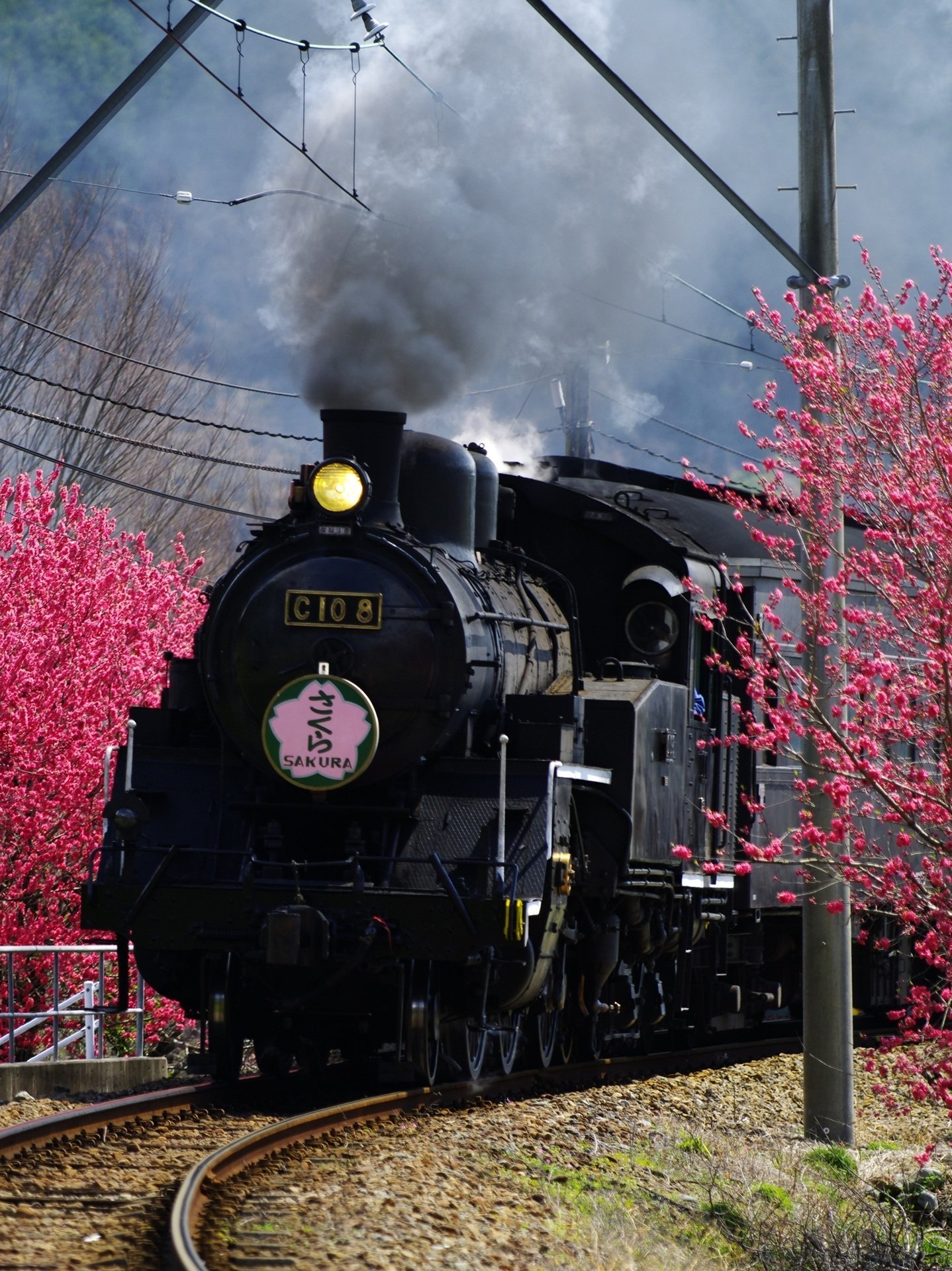 大井川鐡道 紅い花桃の間を走る列車たち ～撮影旅行よもやま話集