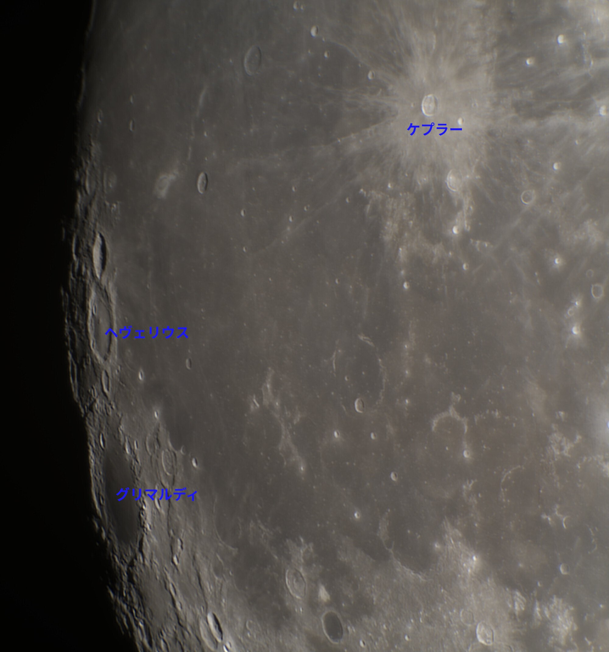 寒い月夜に 惑星・月・二重星たち(2/11)｜MRYM