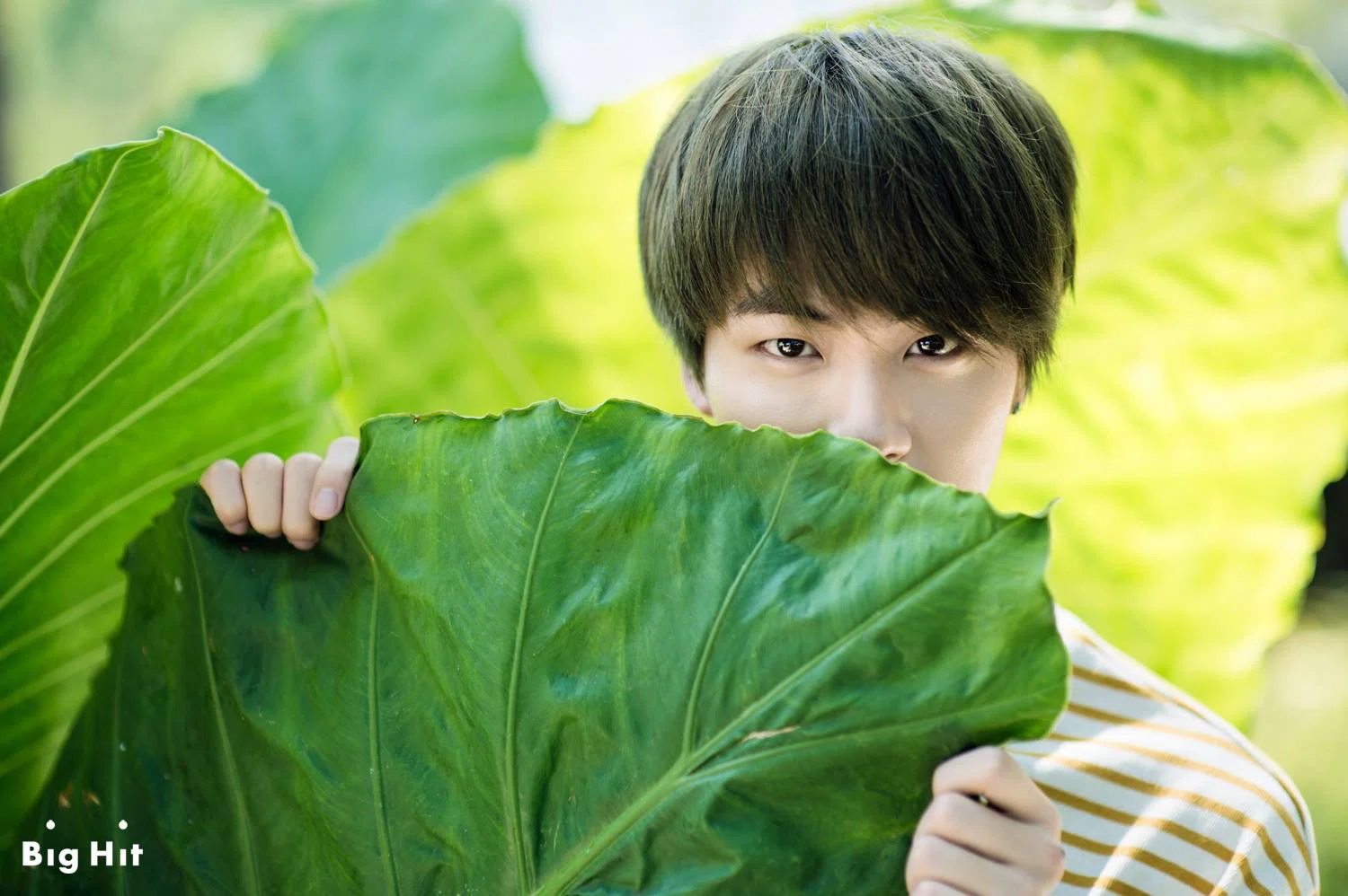 BTS BTS Summer Package 2015 ジョングク - Summer Package 2015
