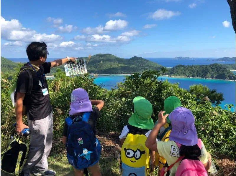 【座間味島】山からホエールウォッチング ＜船酔いなし！＞
