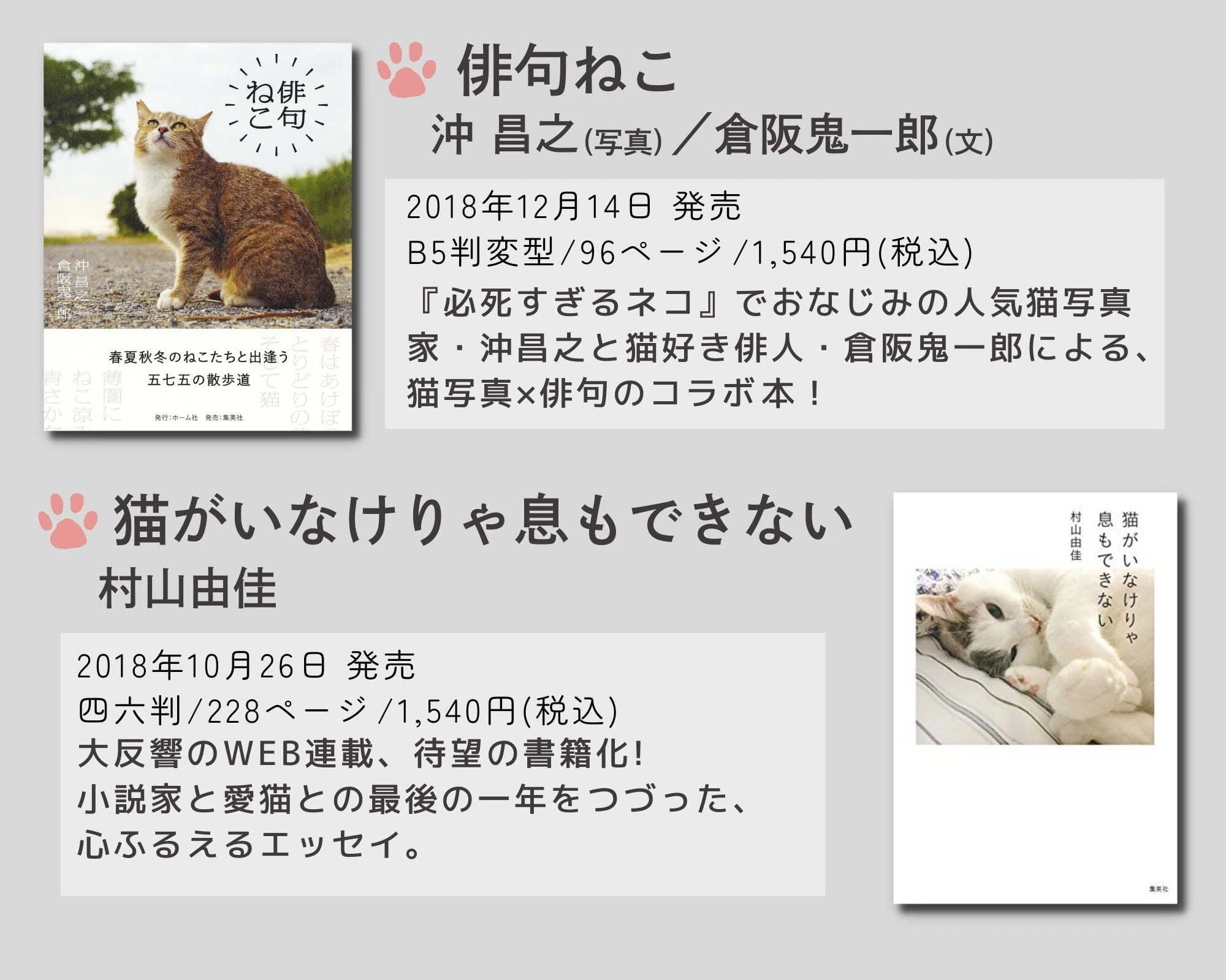 2月22日は猫の日！「ホーム社猫祭2025年」猫とわたしたちの物語｜HB
