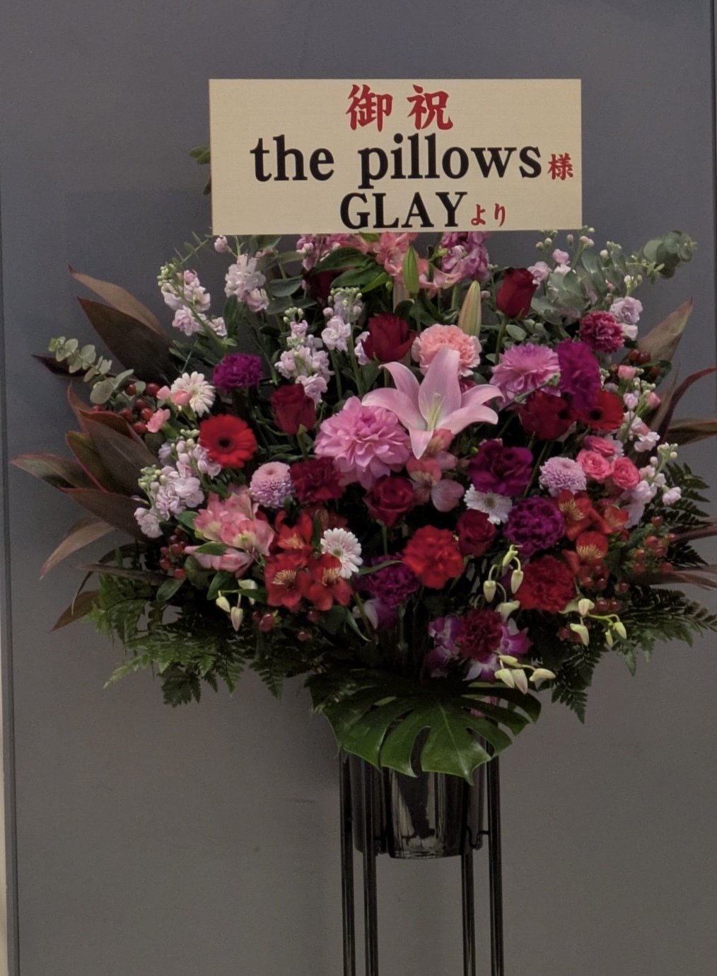 ライブレポート】the pillows『LOSTMAN GO TO CITY 2024-25