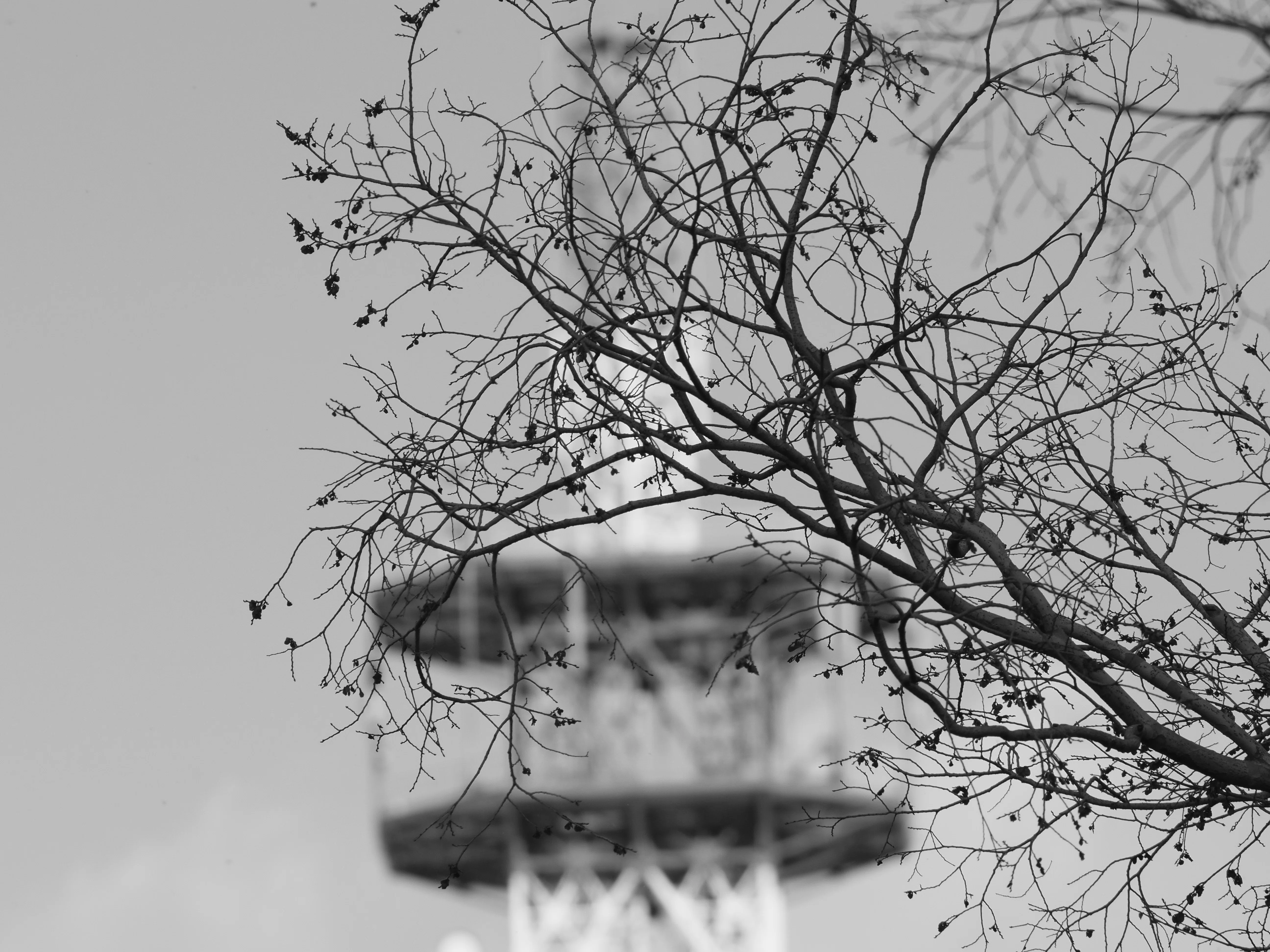 レンズ沼あれこれ：smc PENTAX-M 200mm F4｜ひっくすK