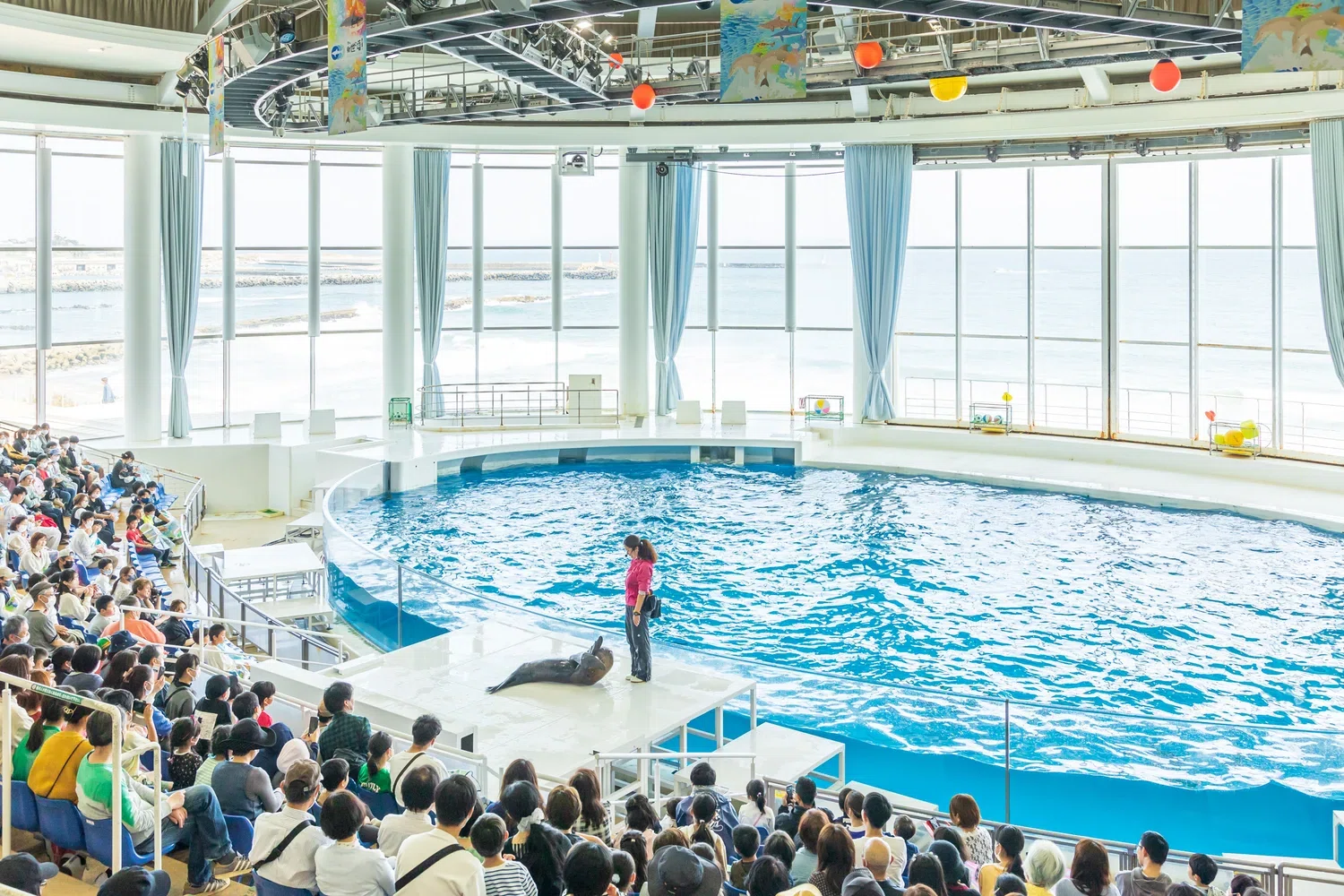 [Aqua World Ibaraki Oarai Aquarium] Are there same-day tickets or ...