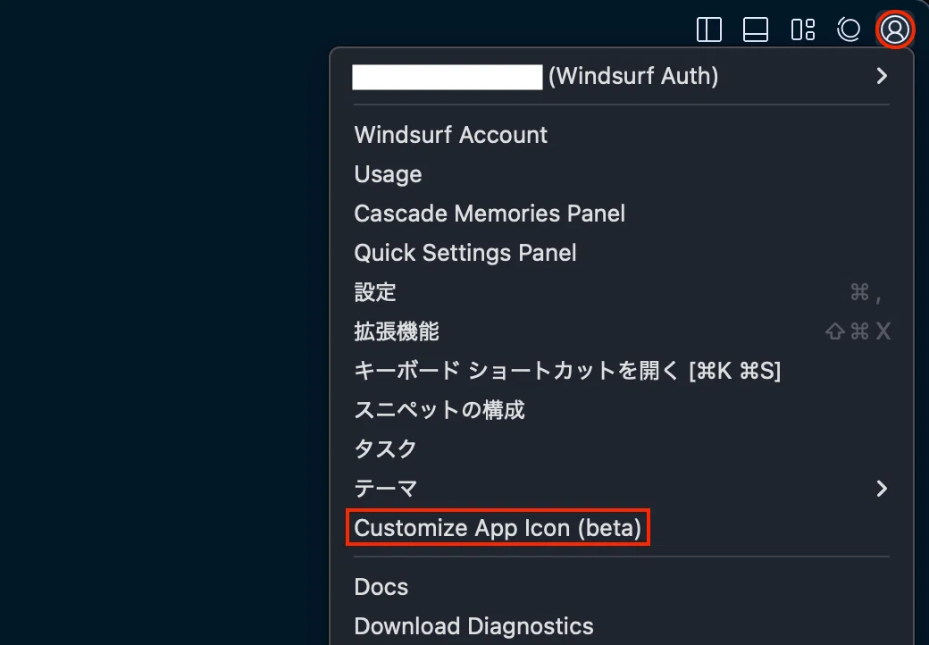 ユーザー設定アイコン > Customize App Icon